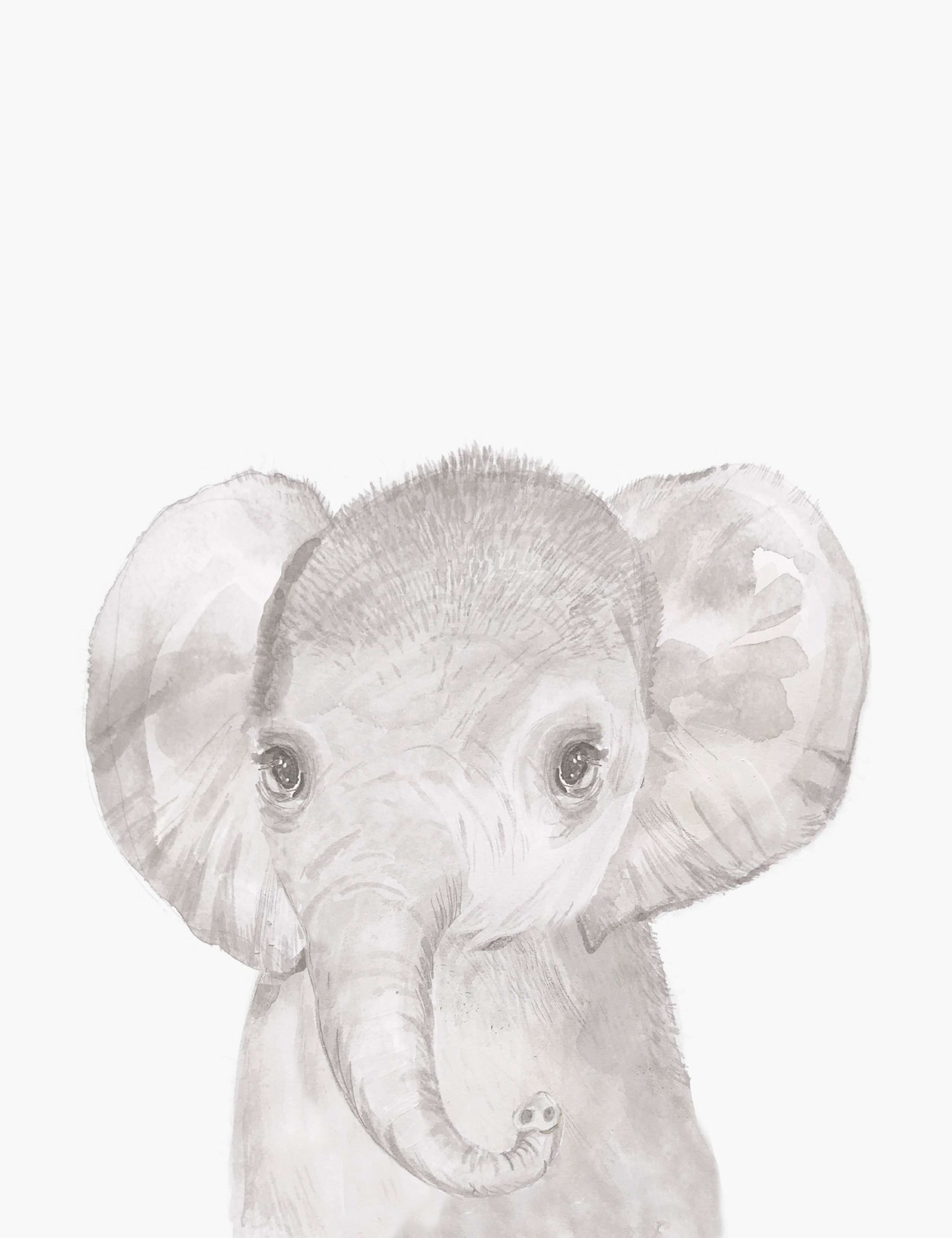 Welcome to the World Wall Art - Elephant