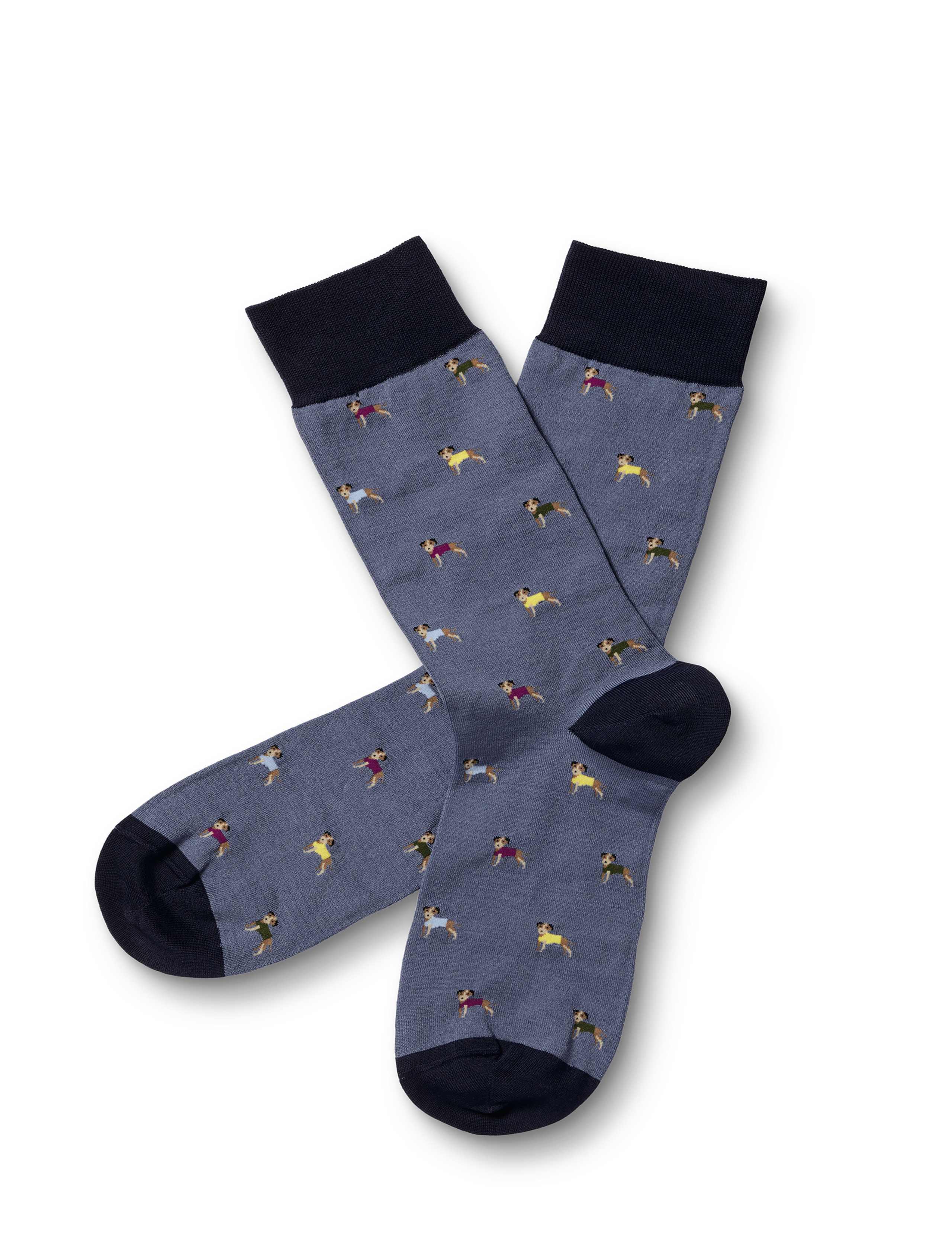 Dog In a Jumper Cotton Rich Socks