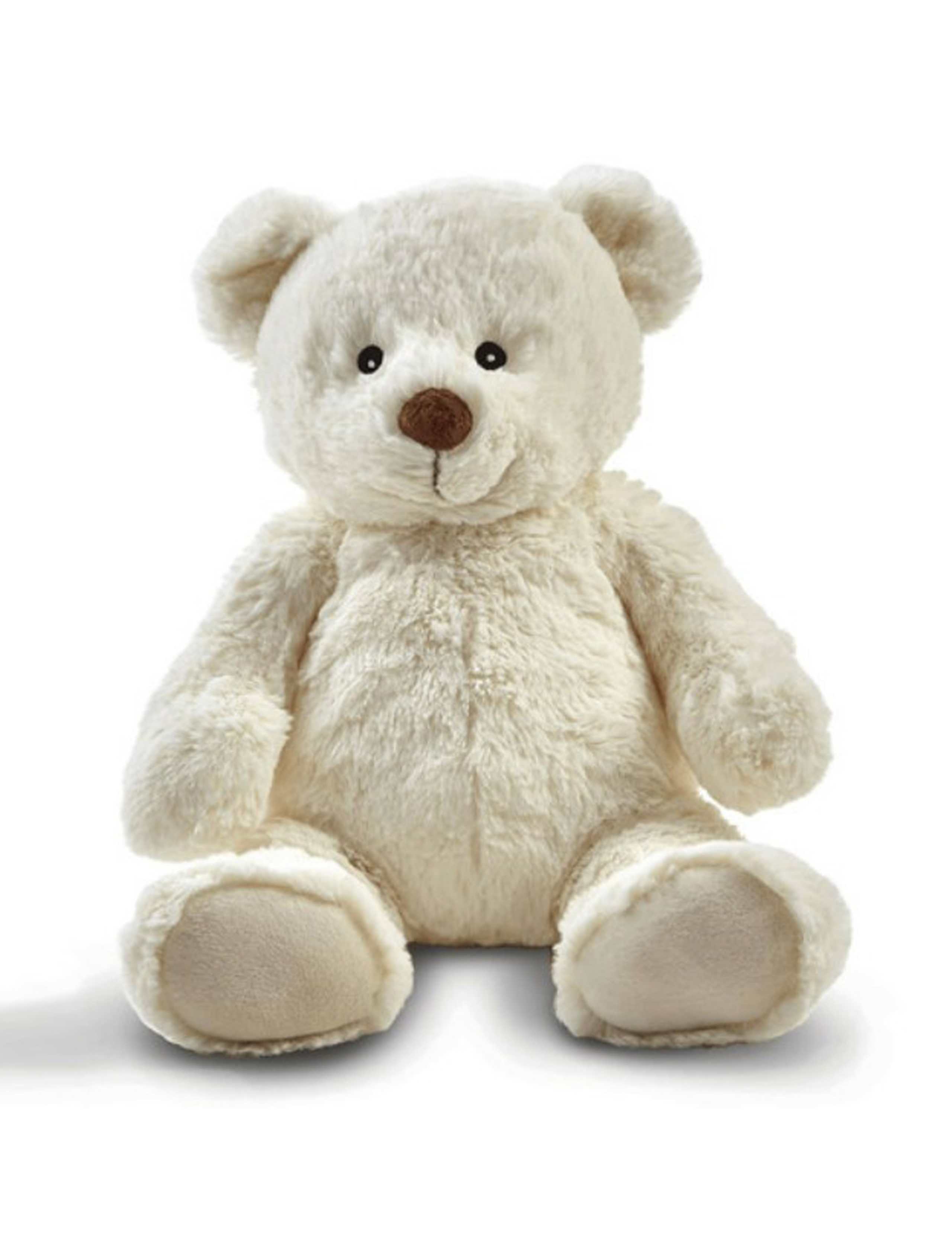 Friendship Teddy (0-3 Yrs)