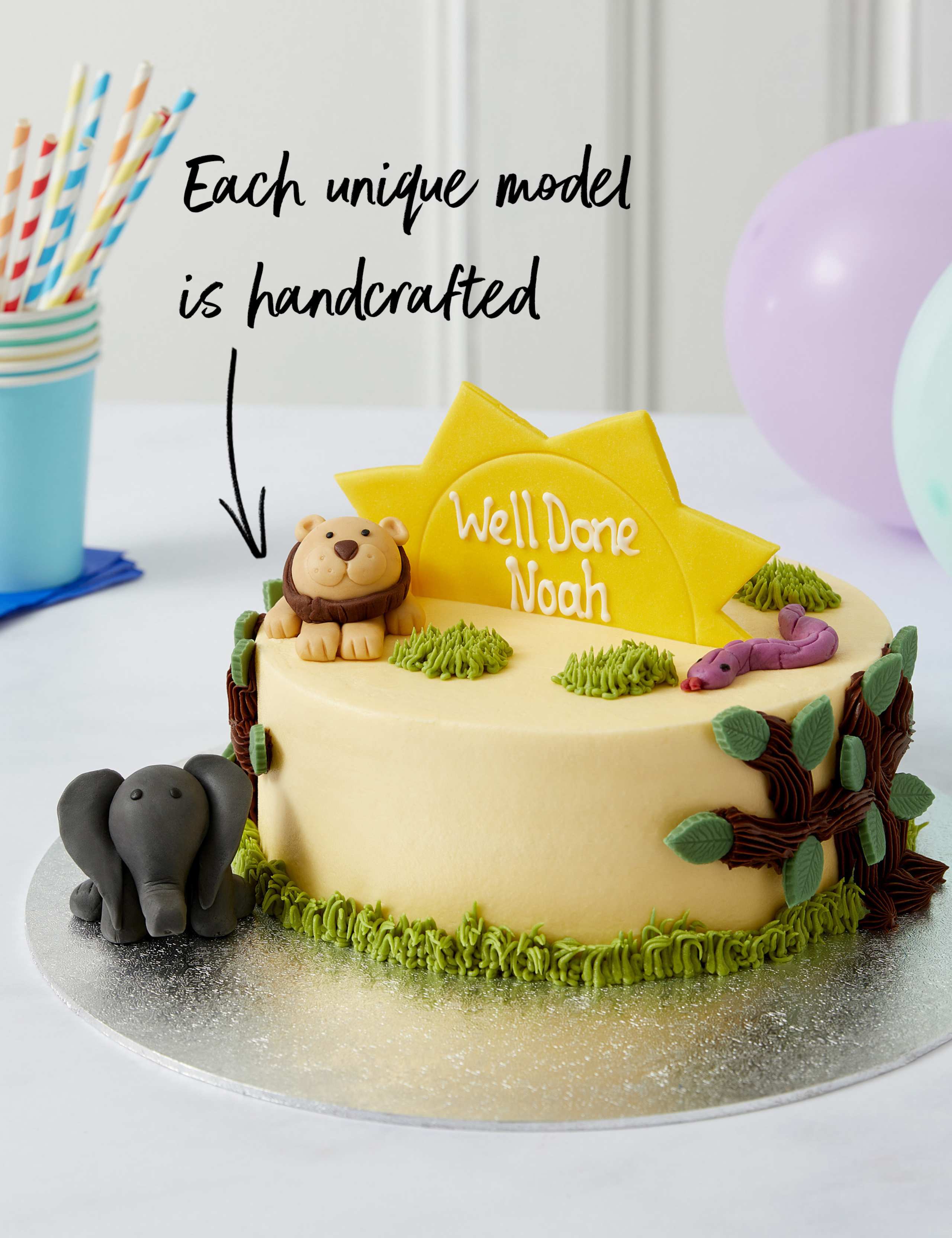 Personalised Safari Cake (Serves 20)