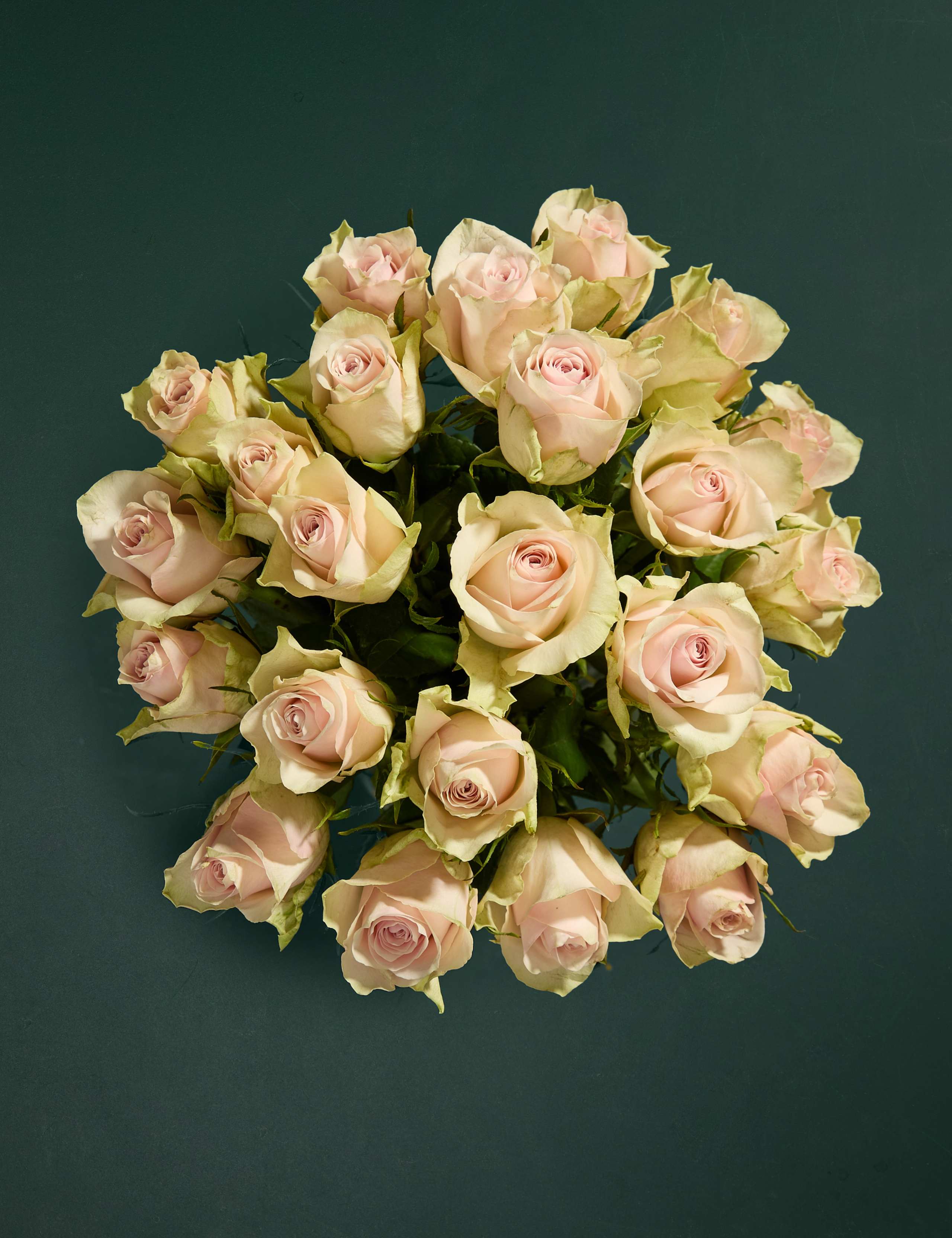 Blush Rose Abundance Bouquet