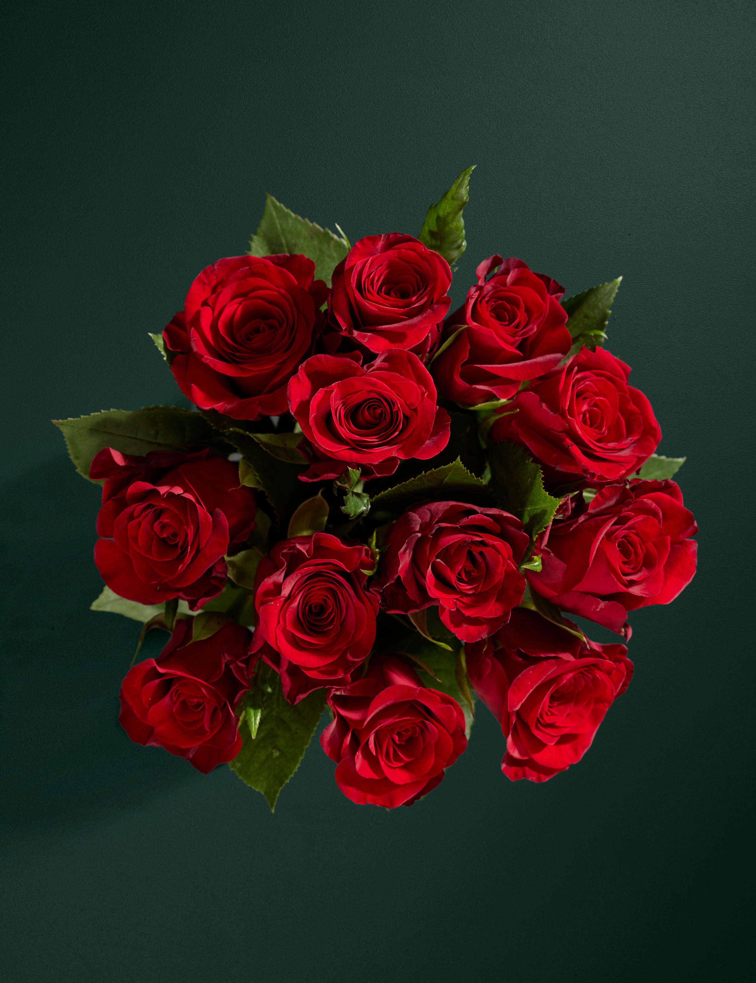 Dozen Red Roses Bouquet with Champagne