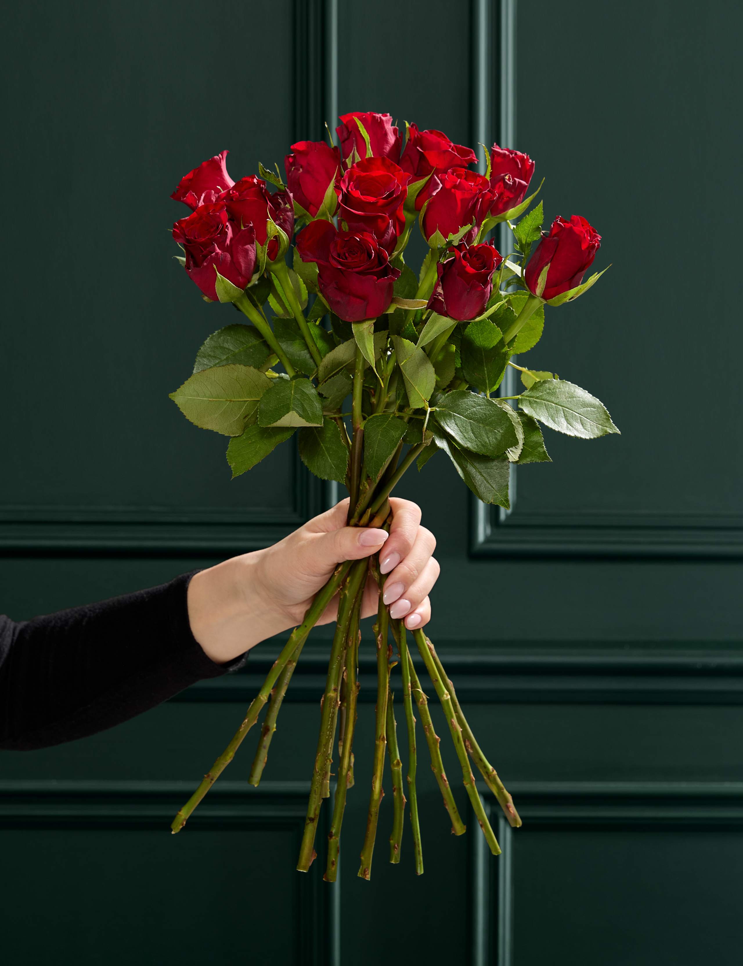 Valentine's Dozen Red Rose Bouquet