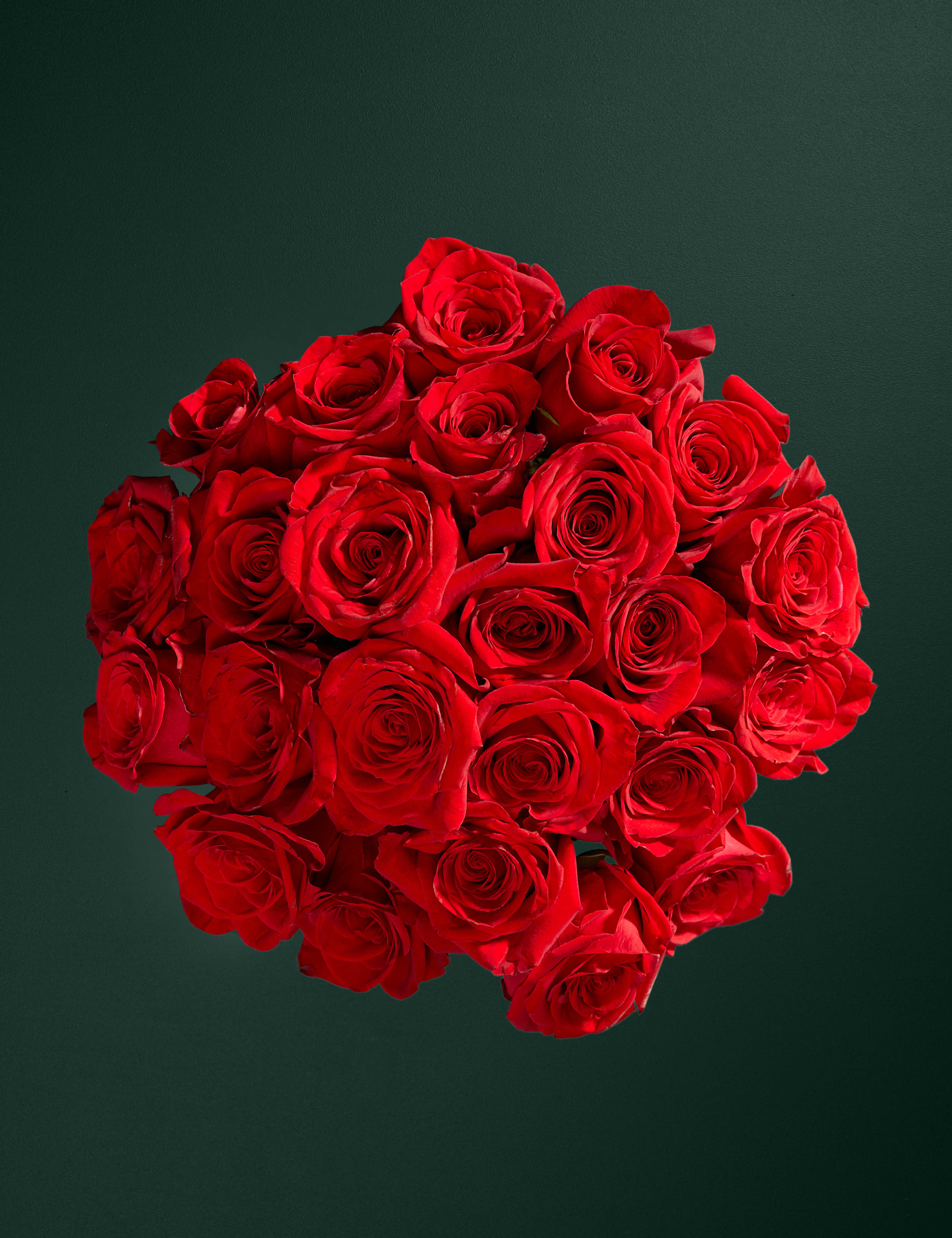 Two Dozen Freedom™ Roses Bouquet