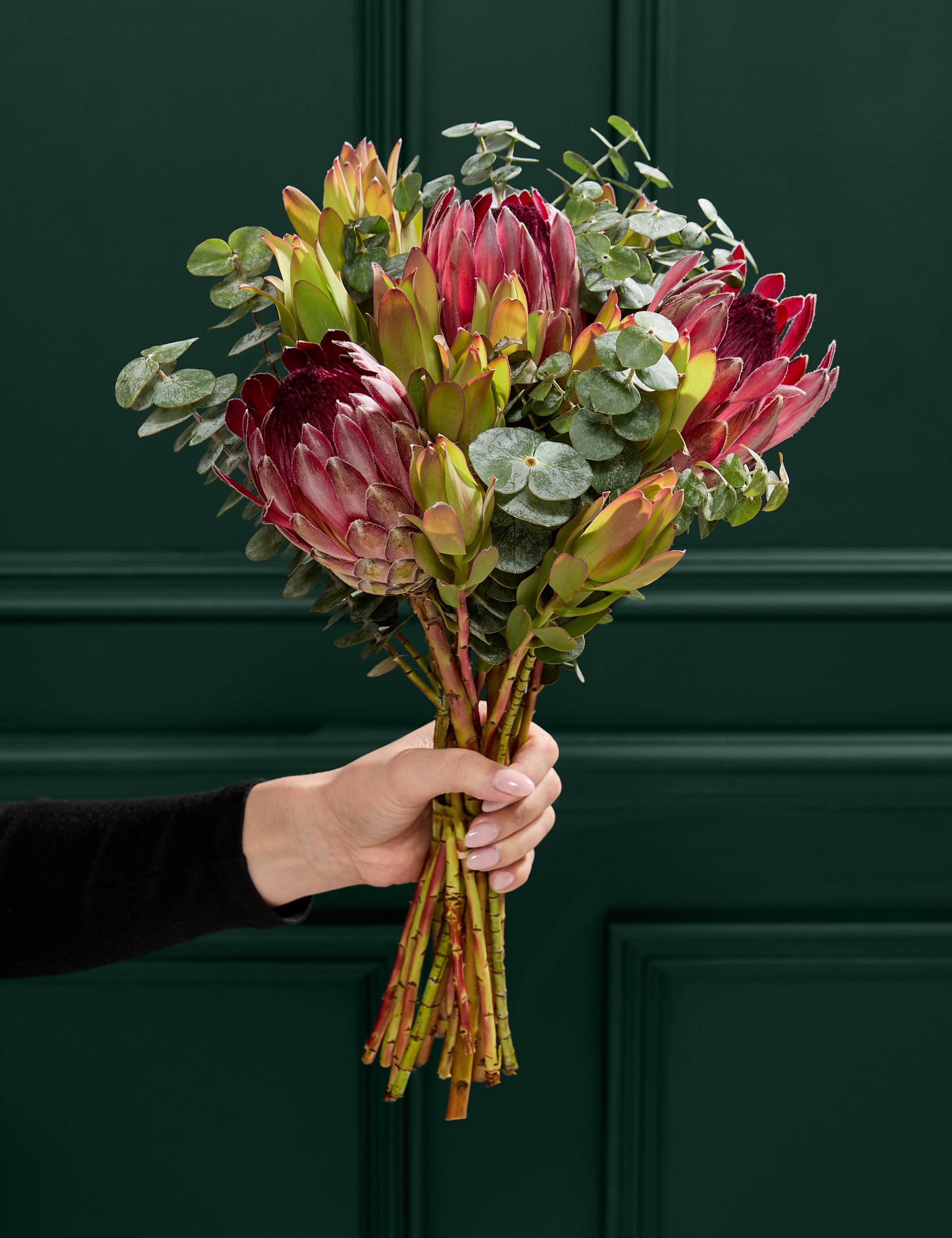 Protea & Eucalyptus Bouquet