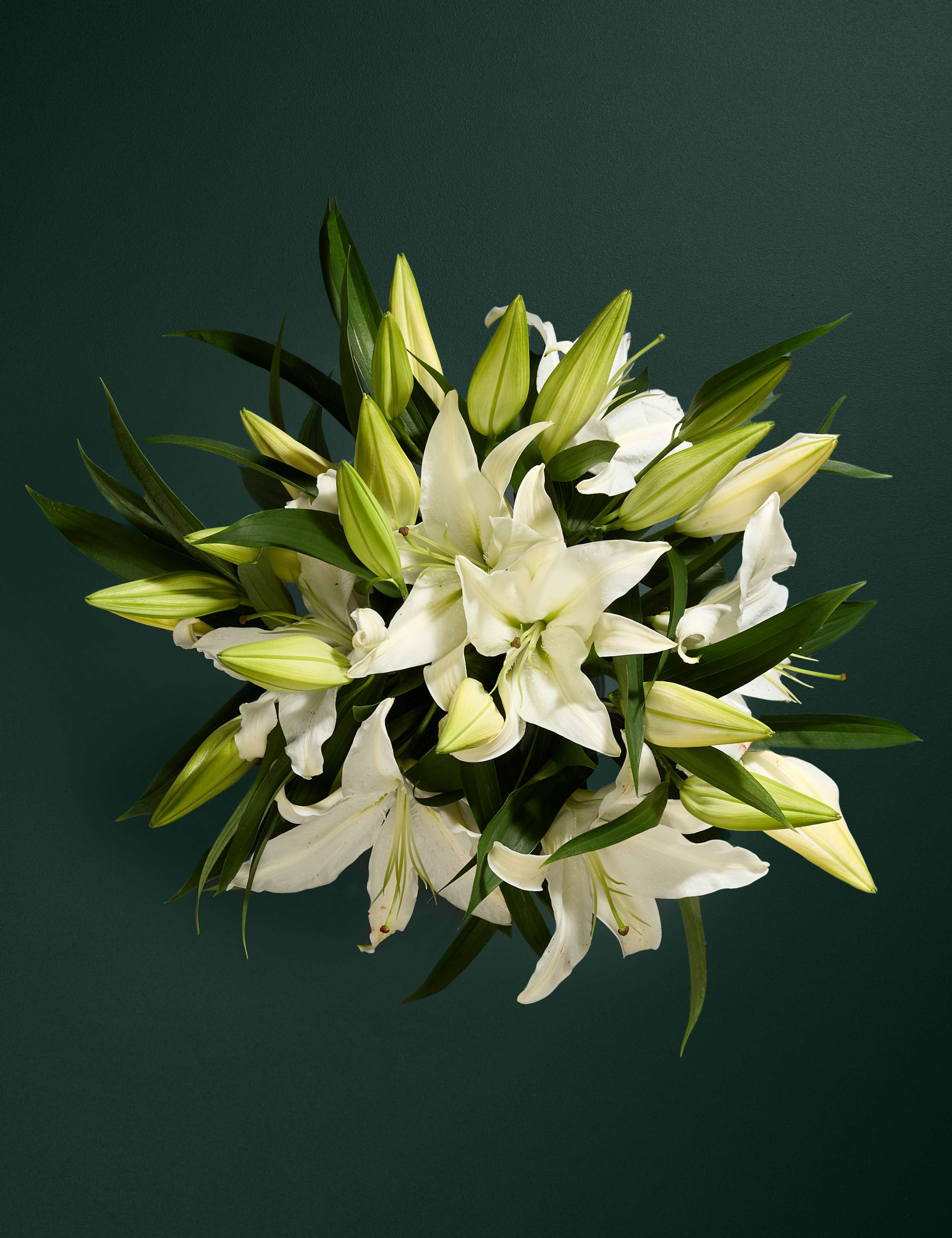 White Oriental Lily Abundance Bouquet
