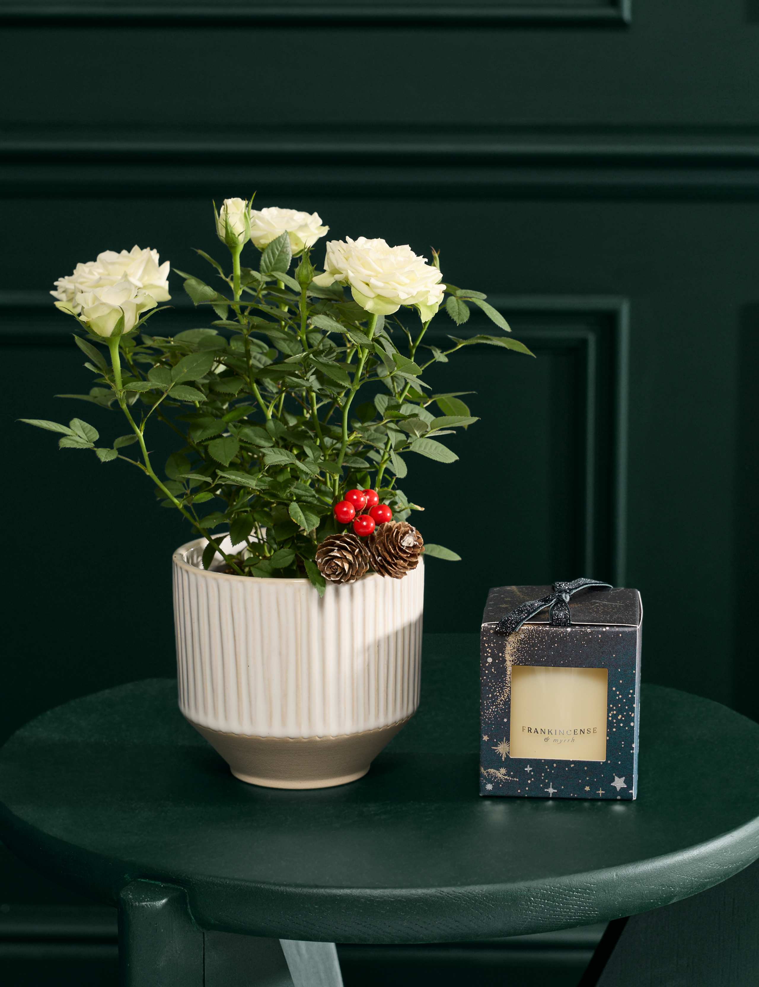 White Rose with Christmas Candle