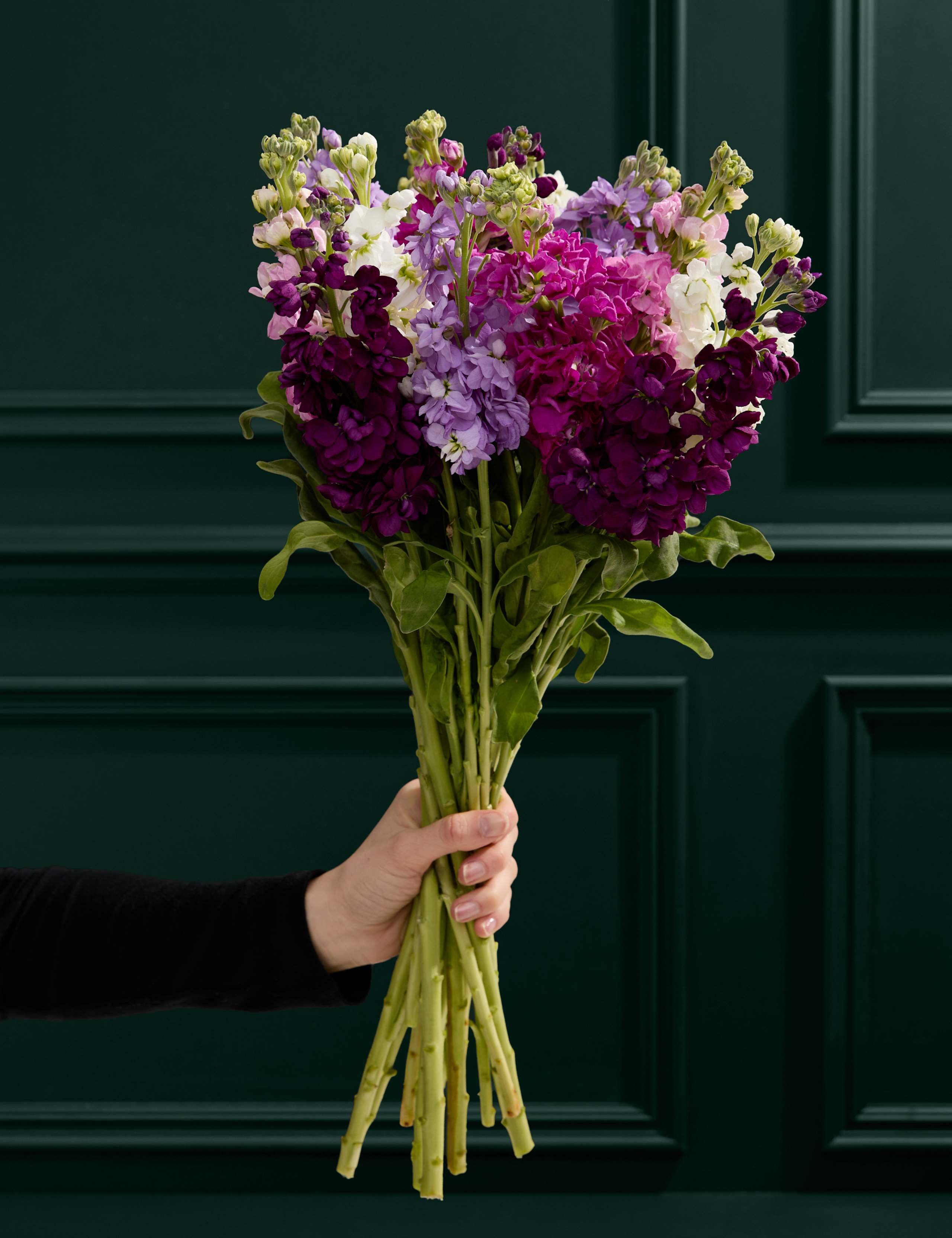 Stock Abundance Bouquet