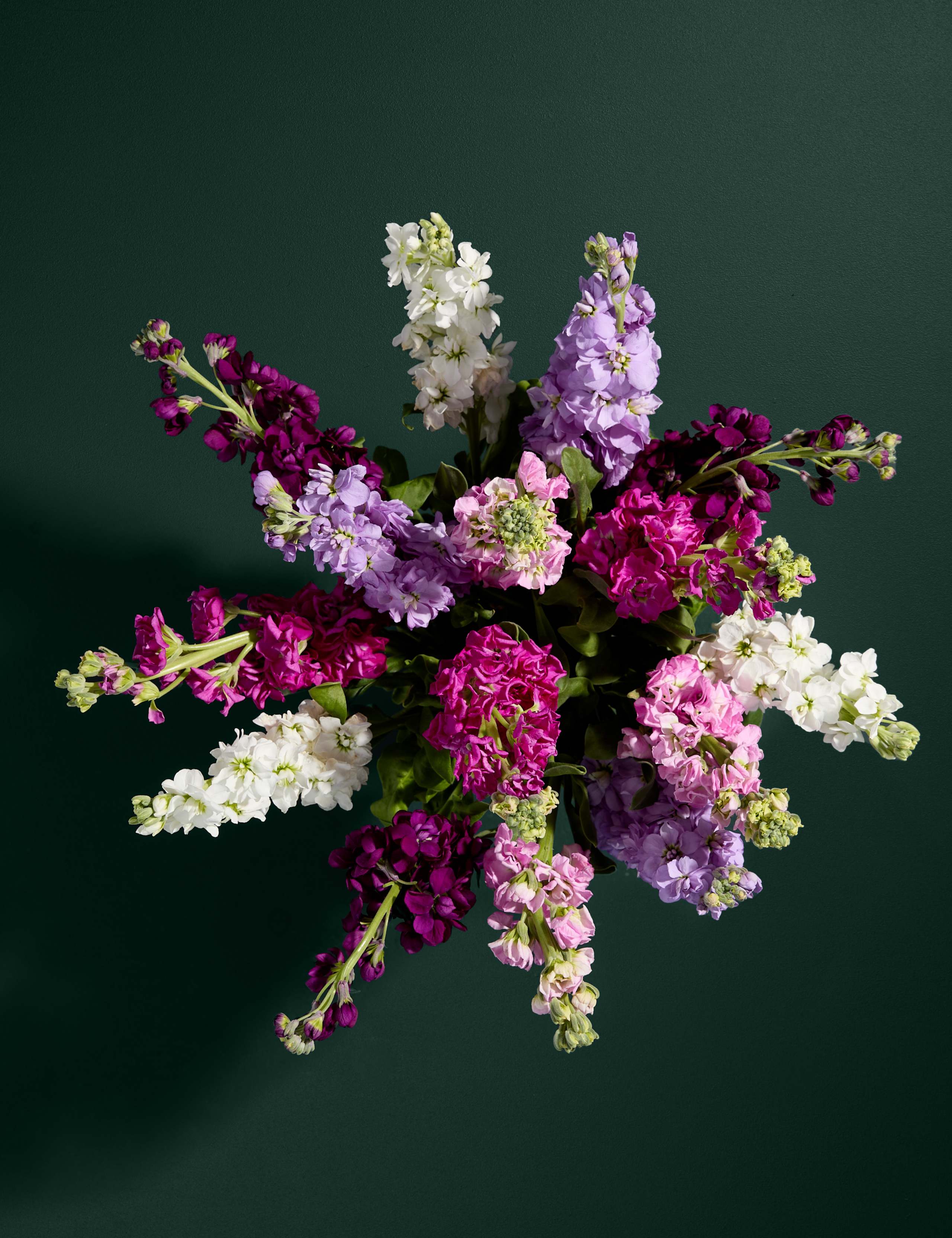 Stock Abundance Bouquet