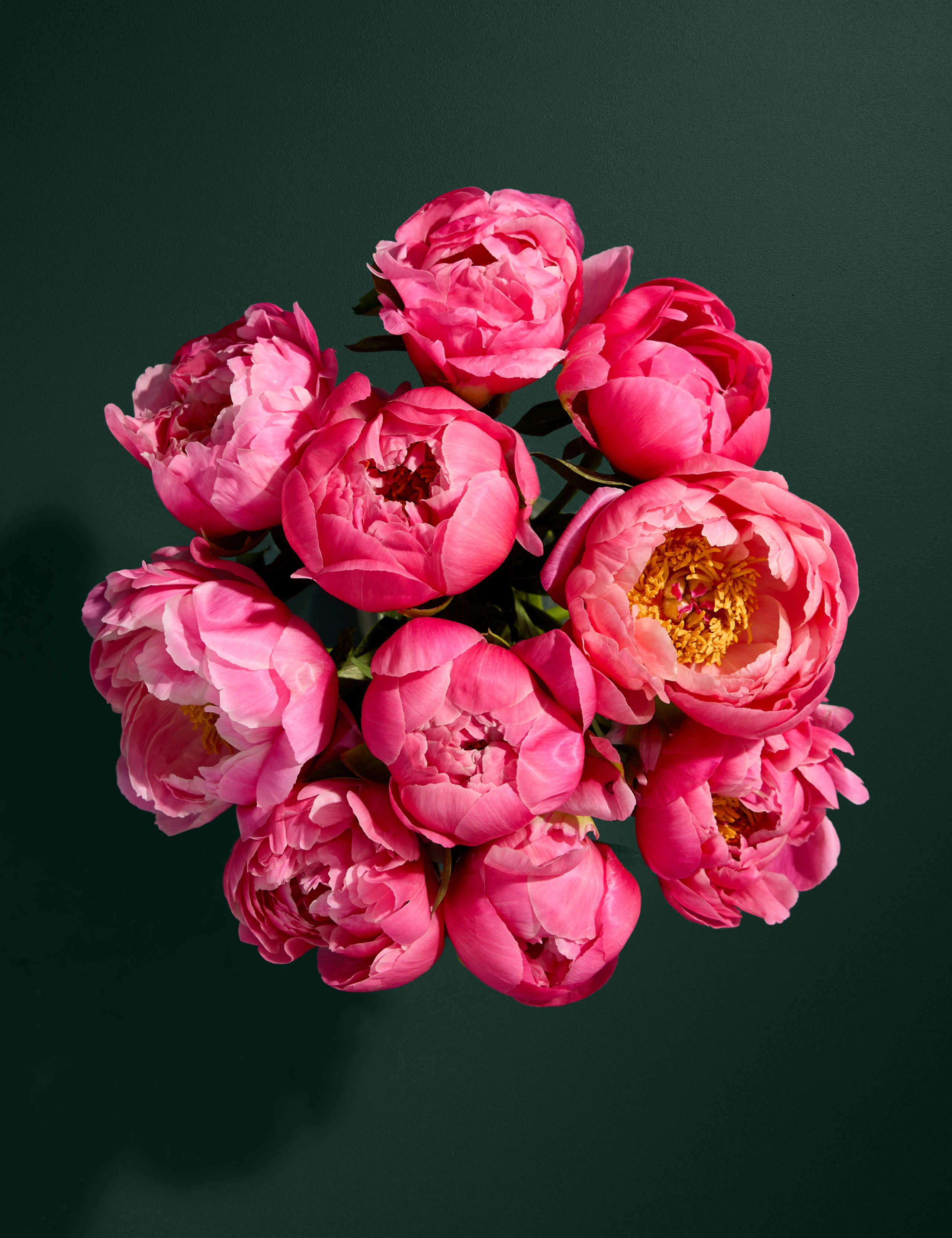 Abundance of Coral Peonies Bouquet