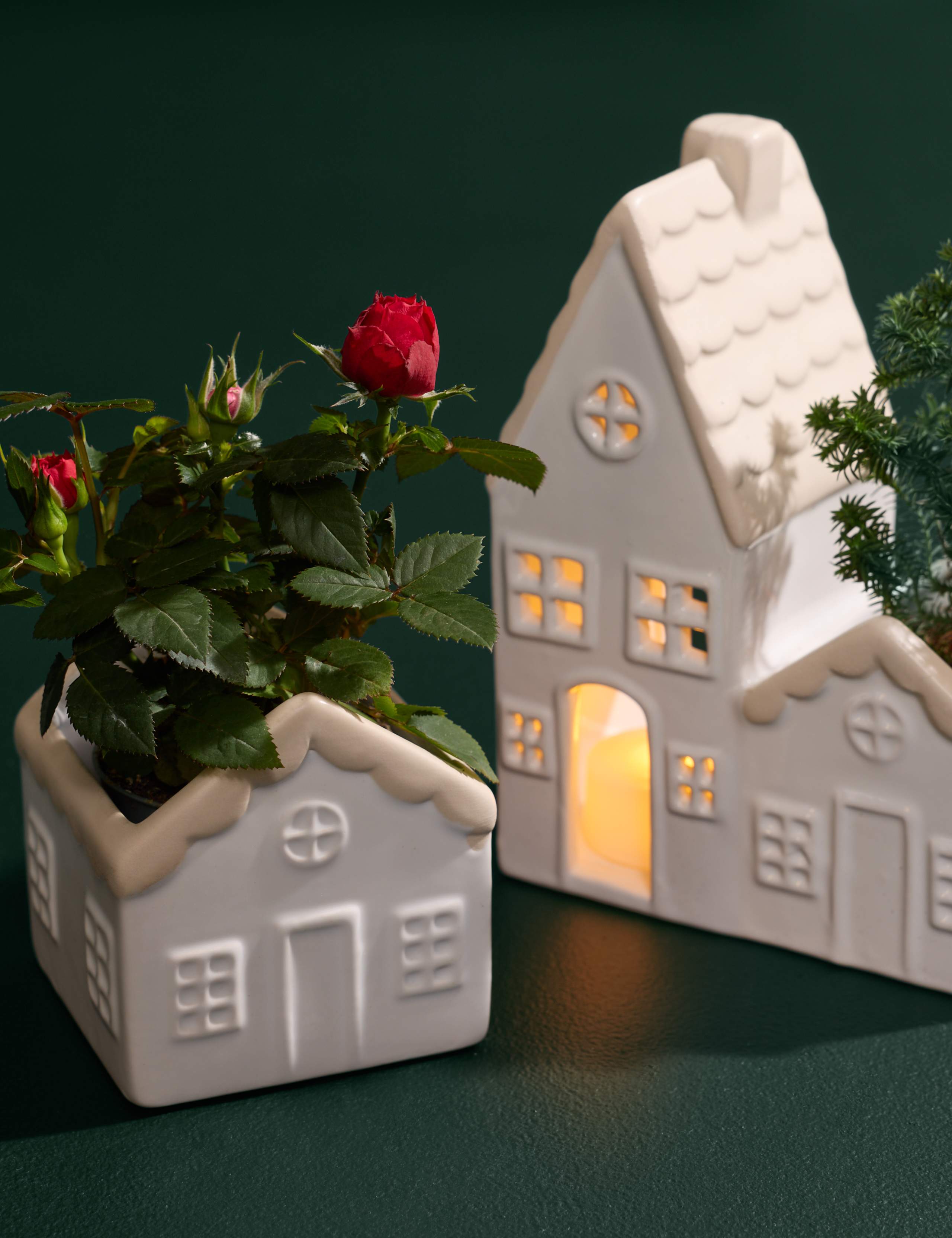 Light Up Ceramic Houses with Miniature Gigi Rose & Picea