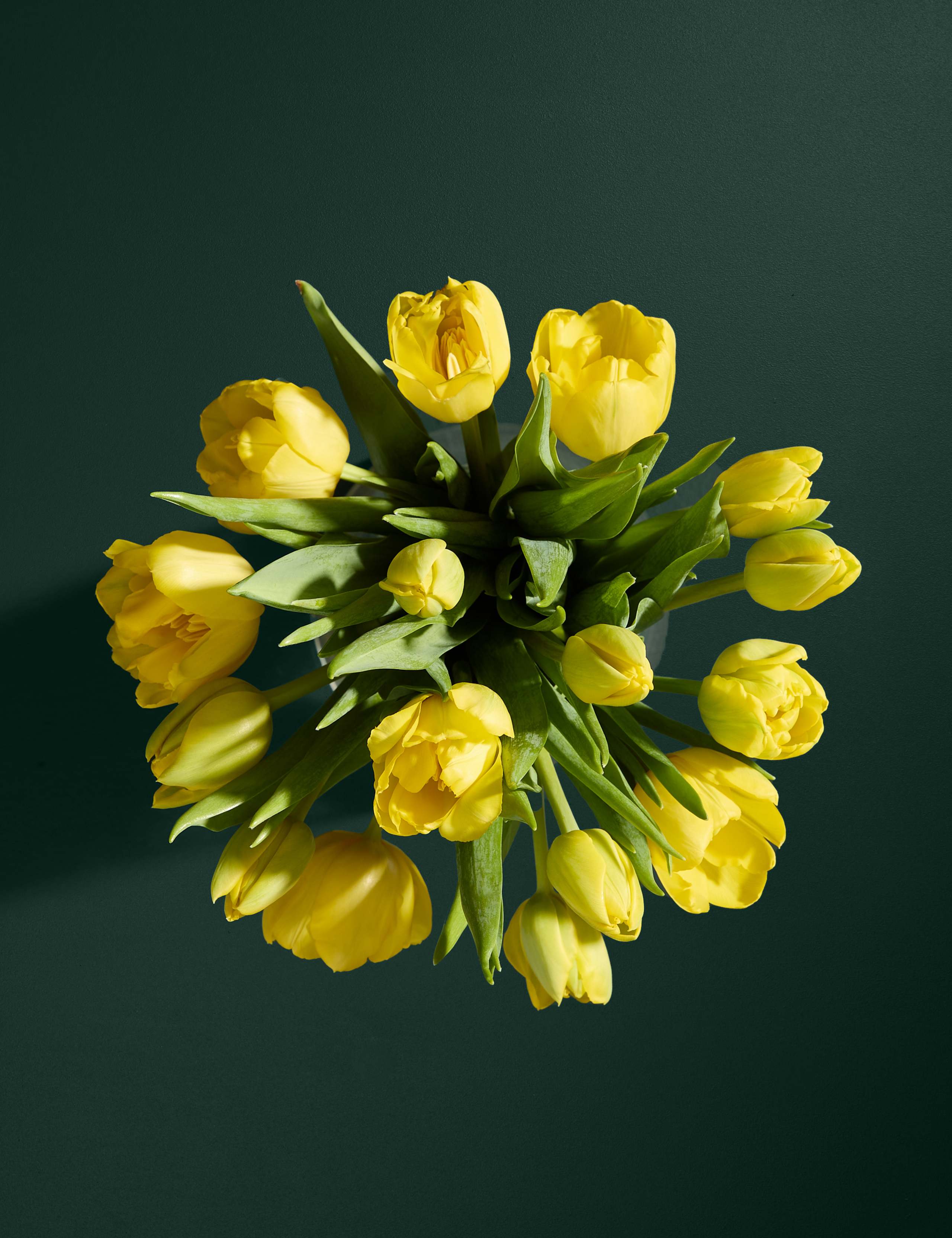 Easter Yellow Tulip Abundance Bouquet