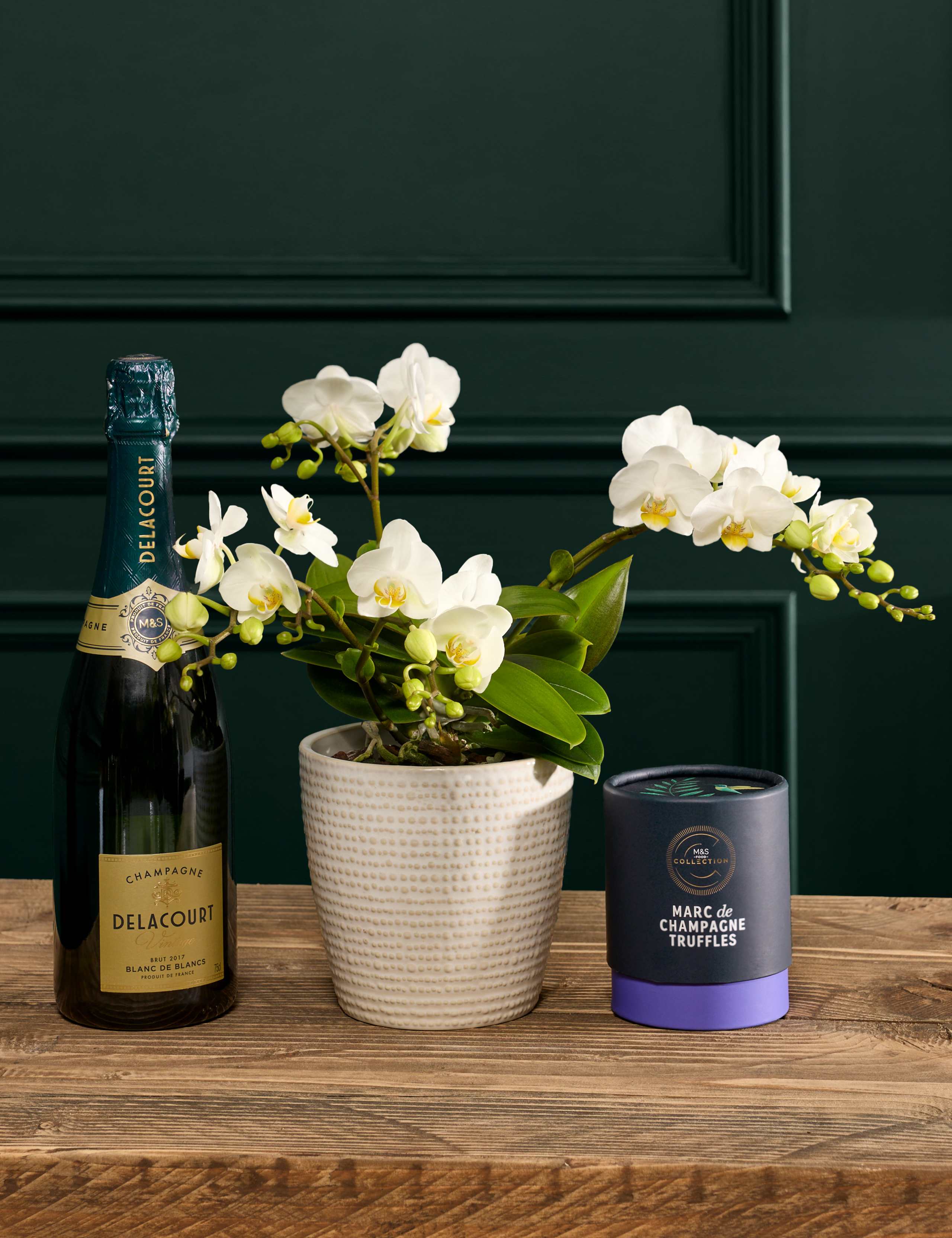 White Unstaked Orchid in Ceramic Pot with Vintage Champagne & Truffles
