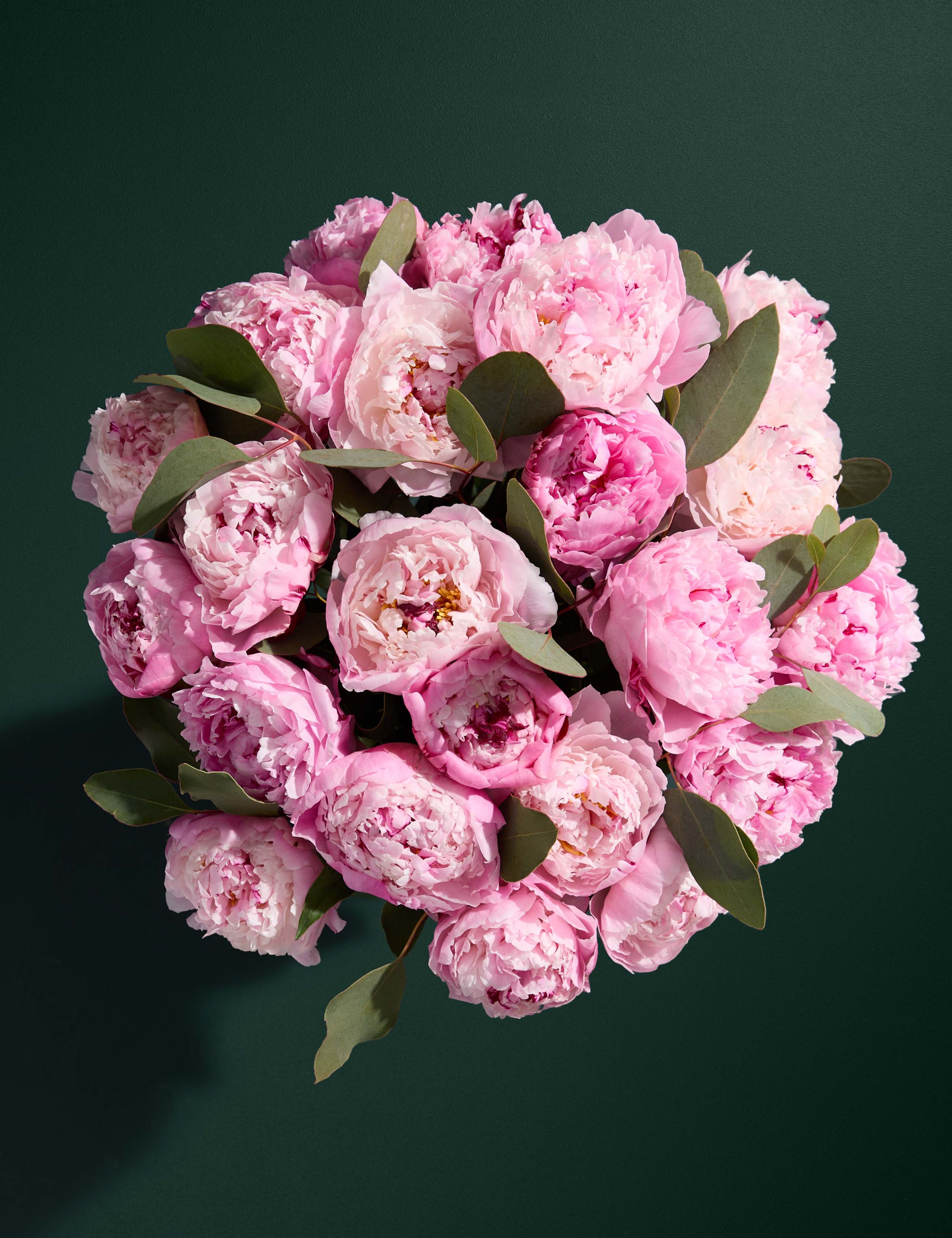 British Pink Peony Bouquet