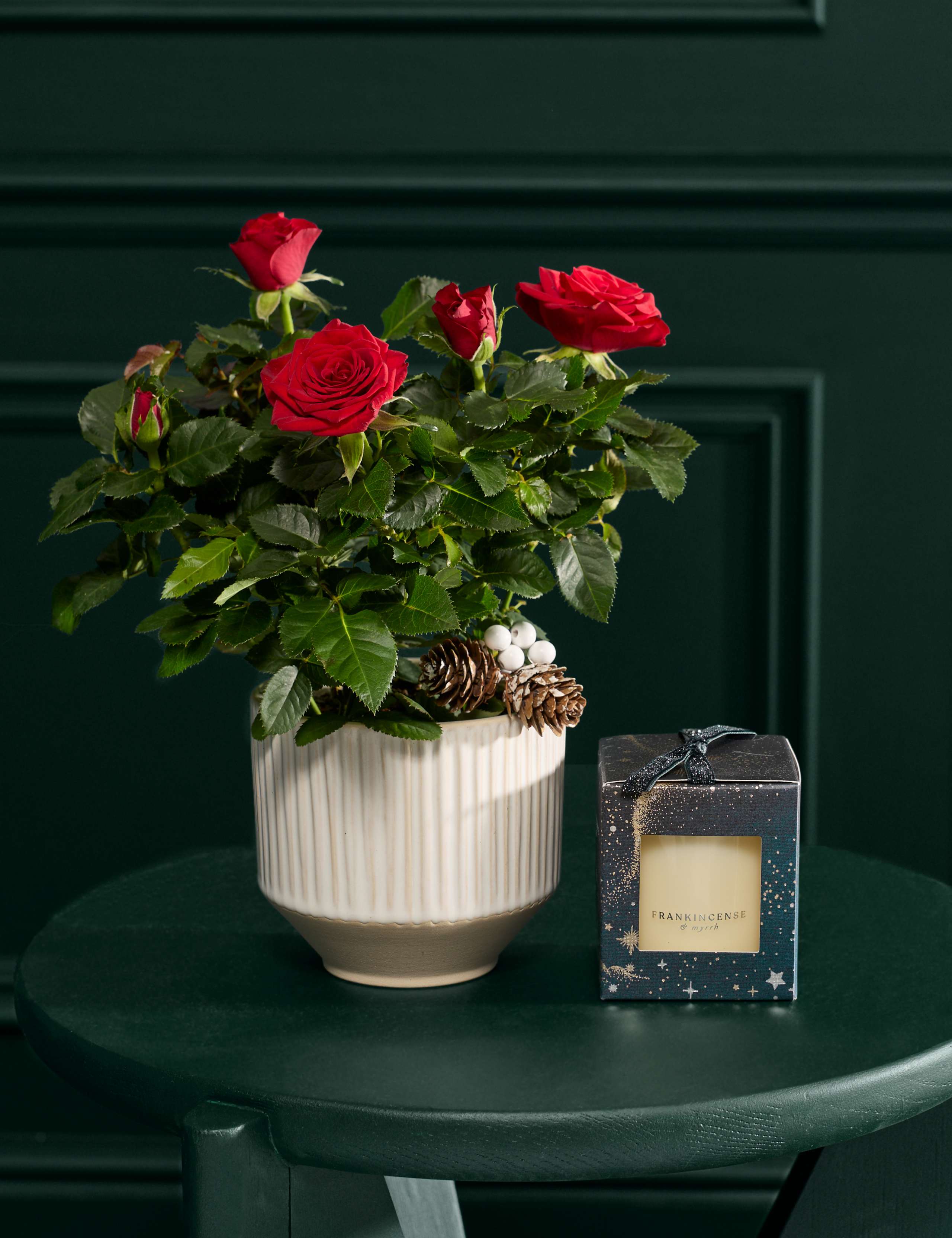Red Rose with Christmas Candle