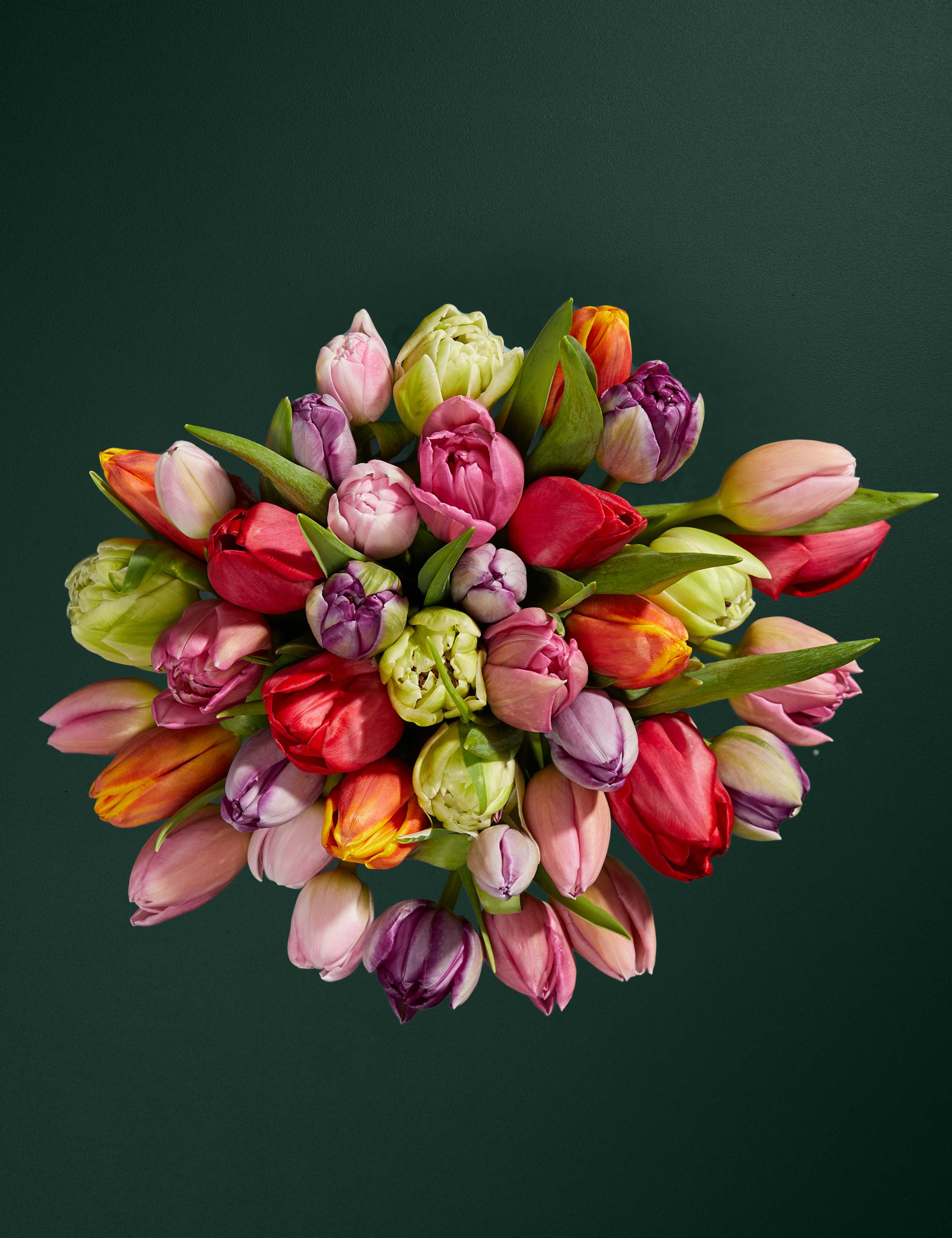 Tulipmania Bouquet