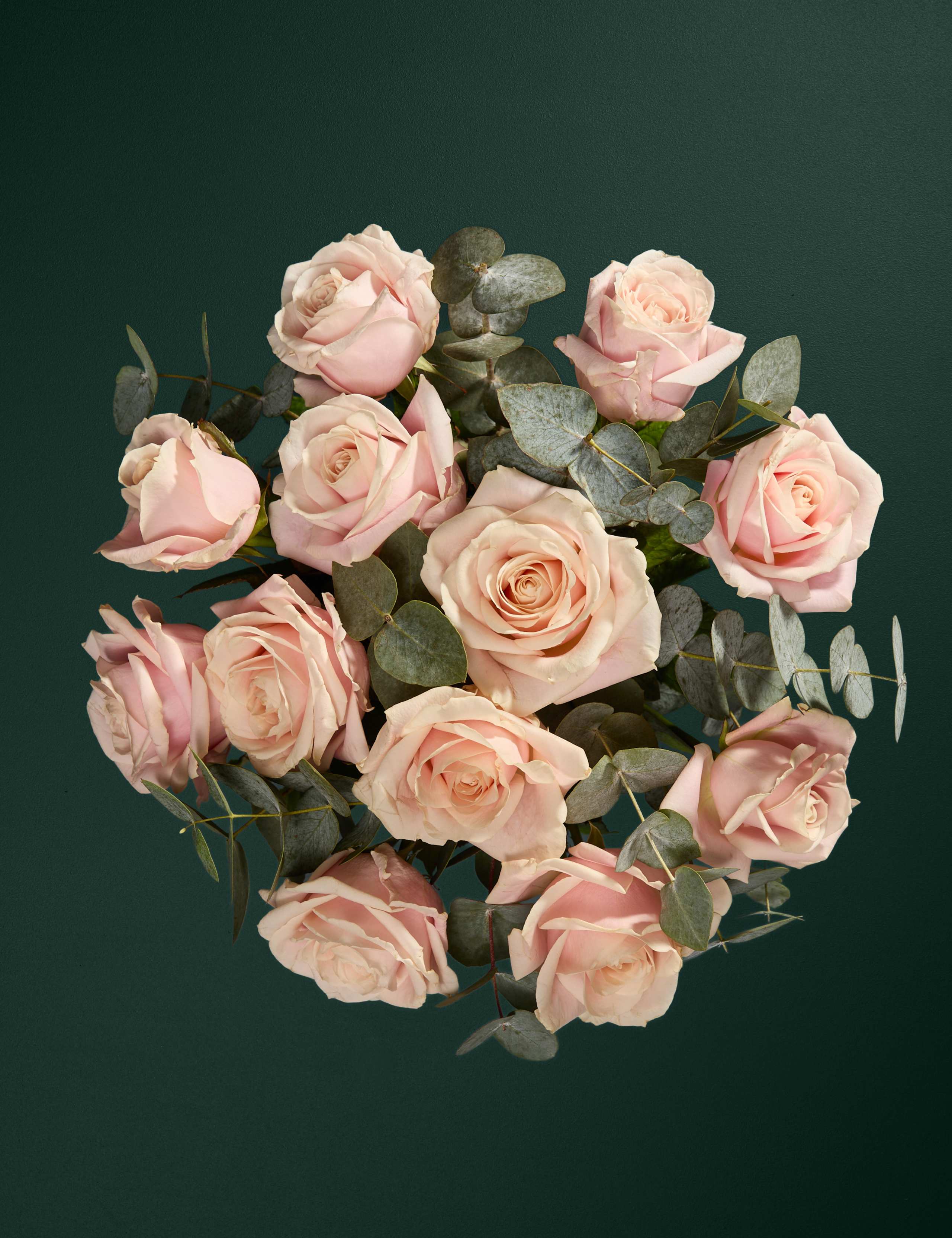 Dozen Pretty Pastel Pink Roses Bouquet