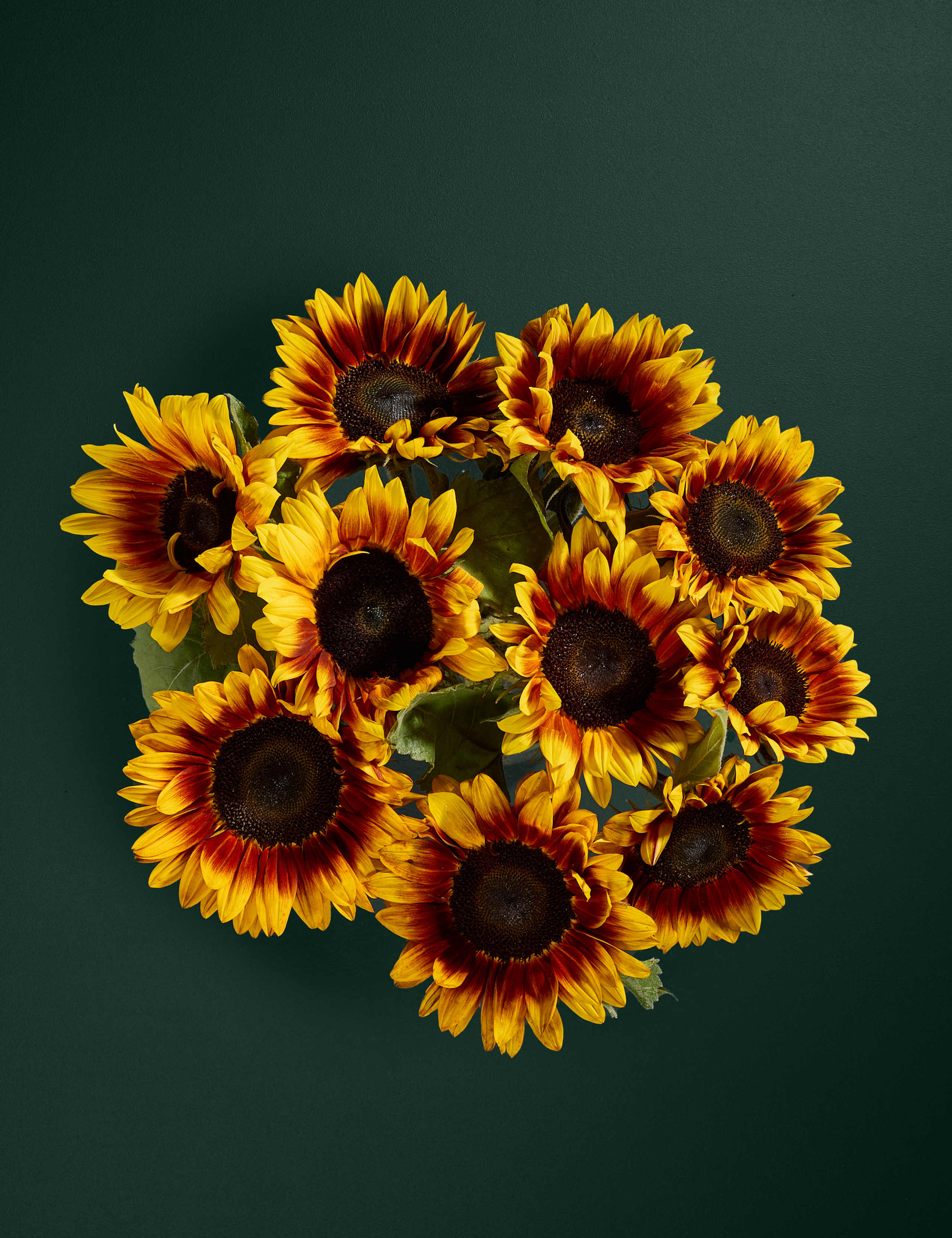 Speciality Sunflower Abundance Bouquet