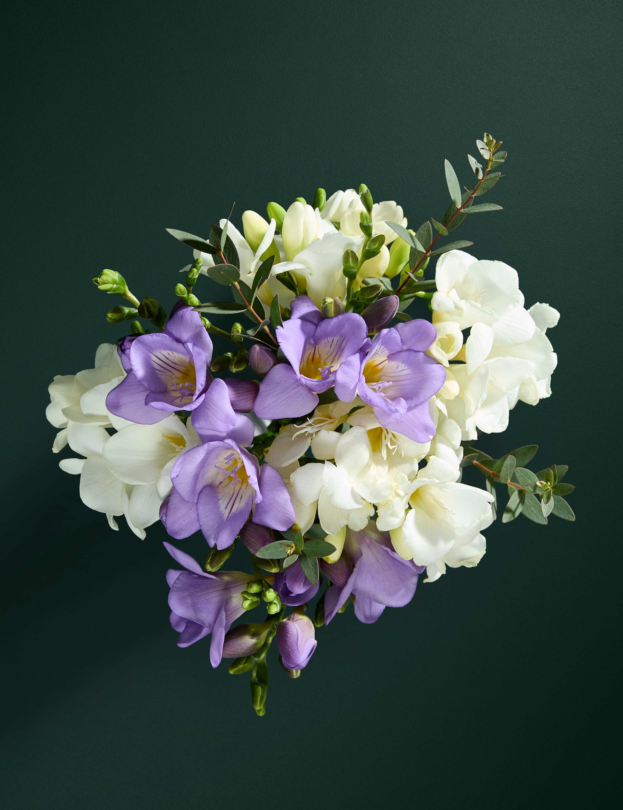 Scented Freesia Posy