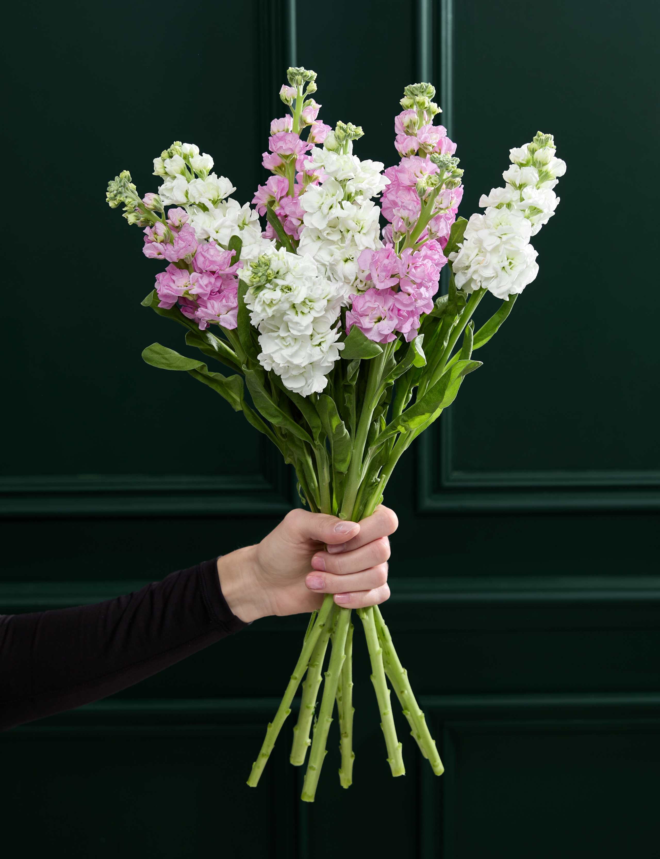 Stock Abundance Bouquet