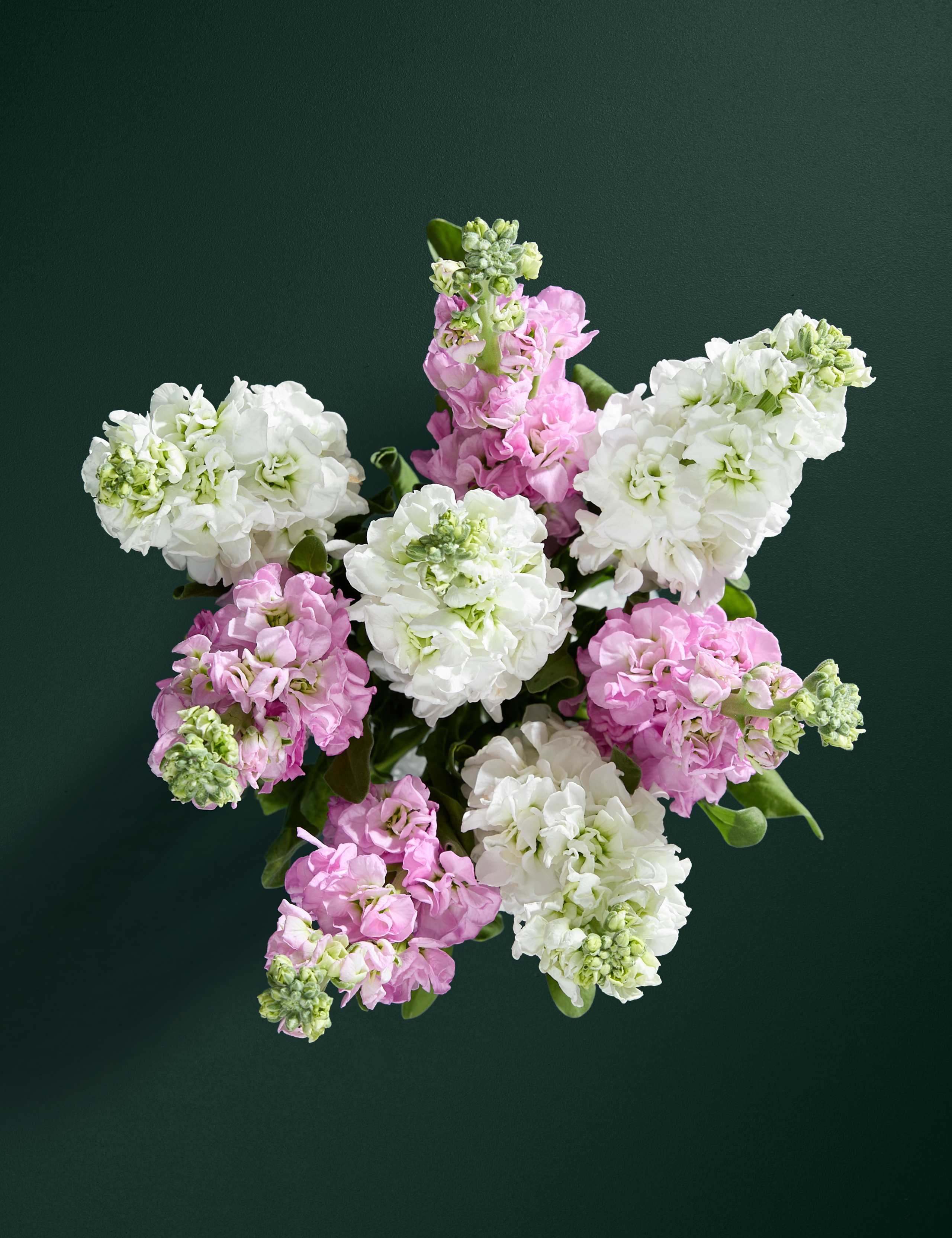 Stock Abundance Bouquet