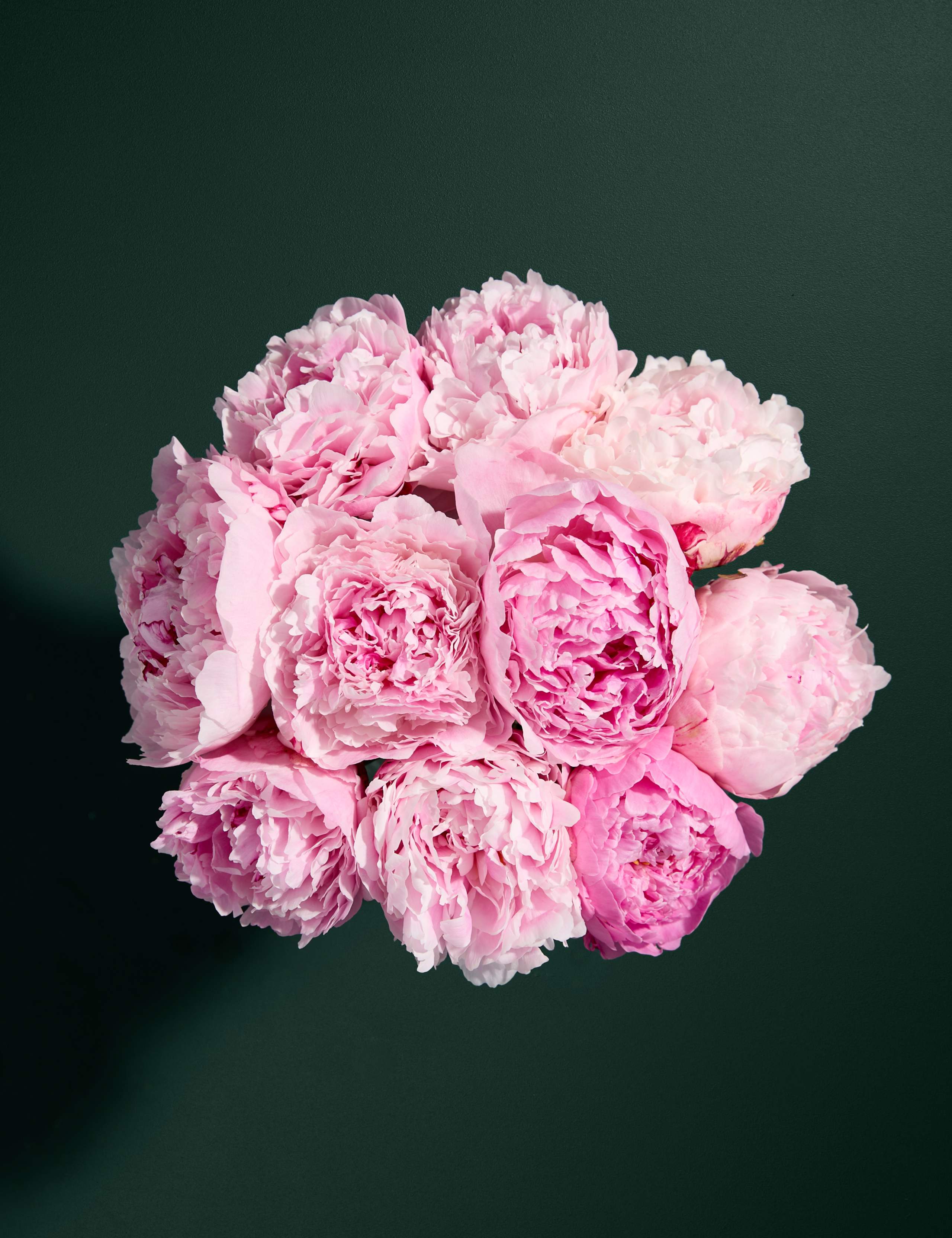 White Peonies & Cremant Bouquet