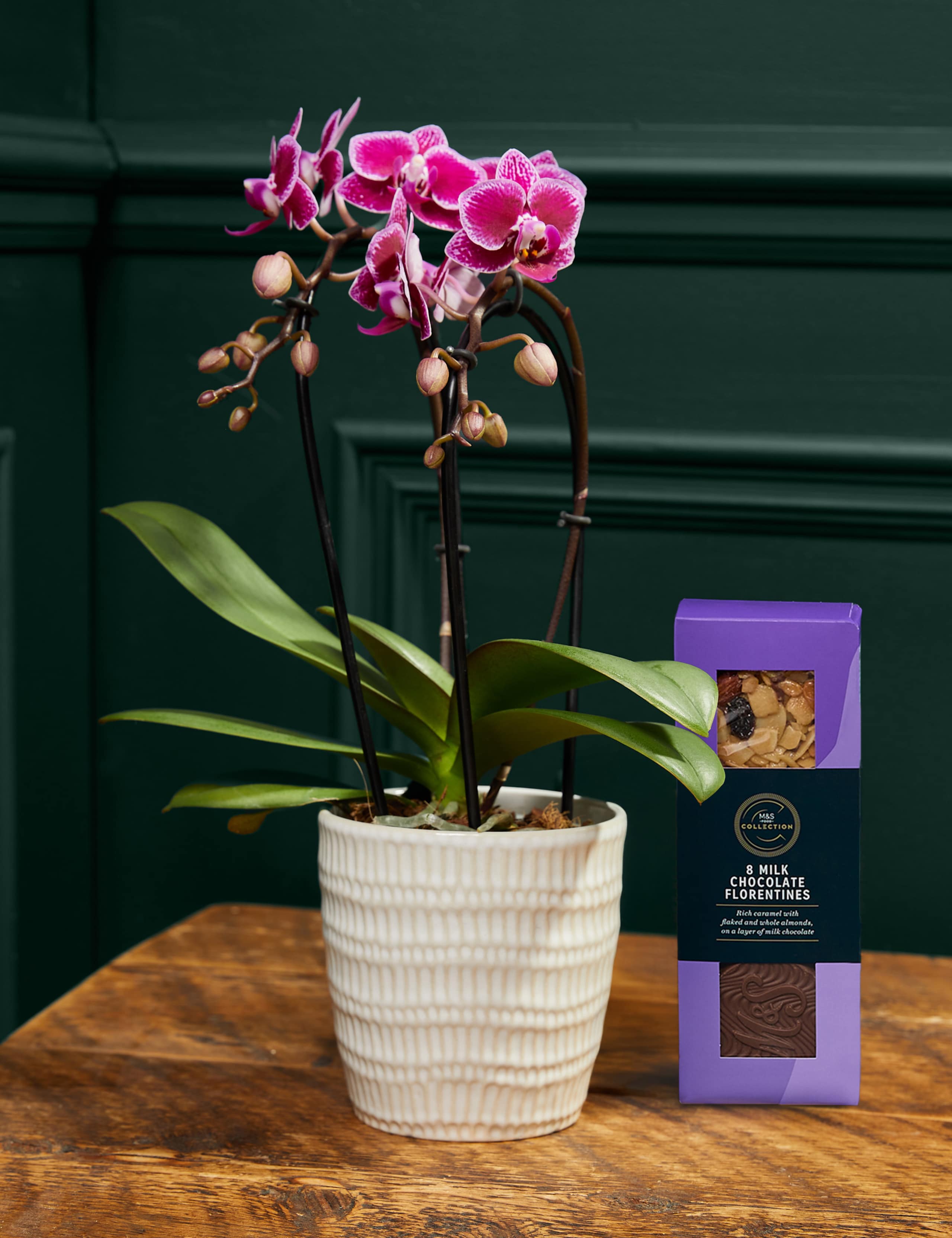 Miniature Purple Cascade Orchid with Chocolate Florentines