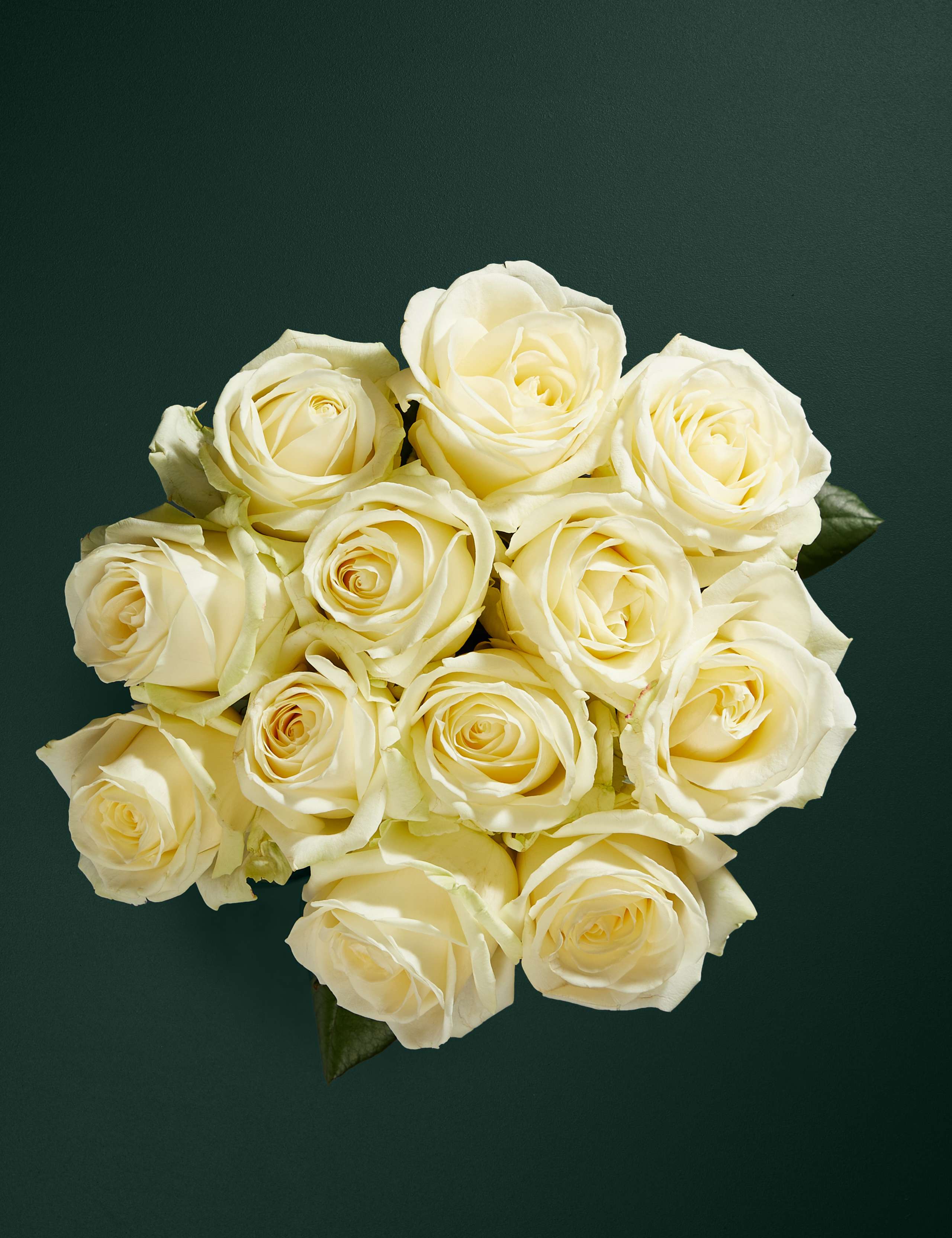 White Avalanche™ Rose Bouquet