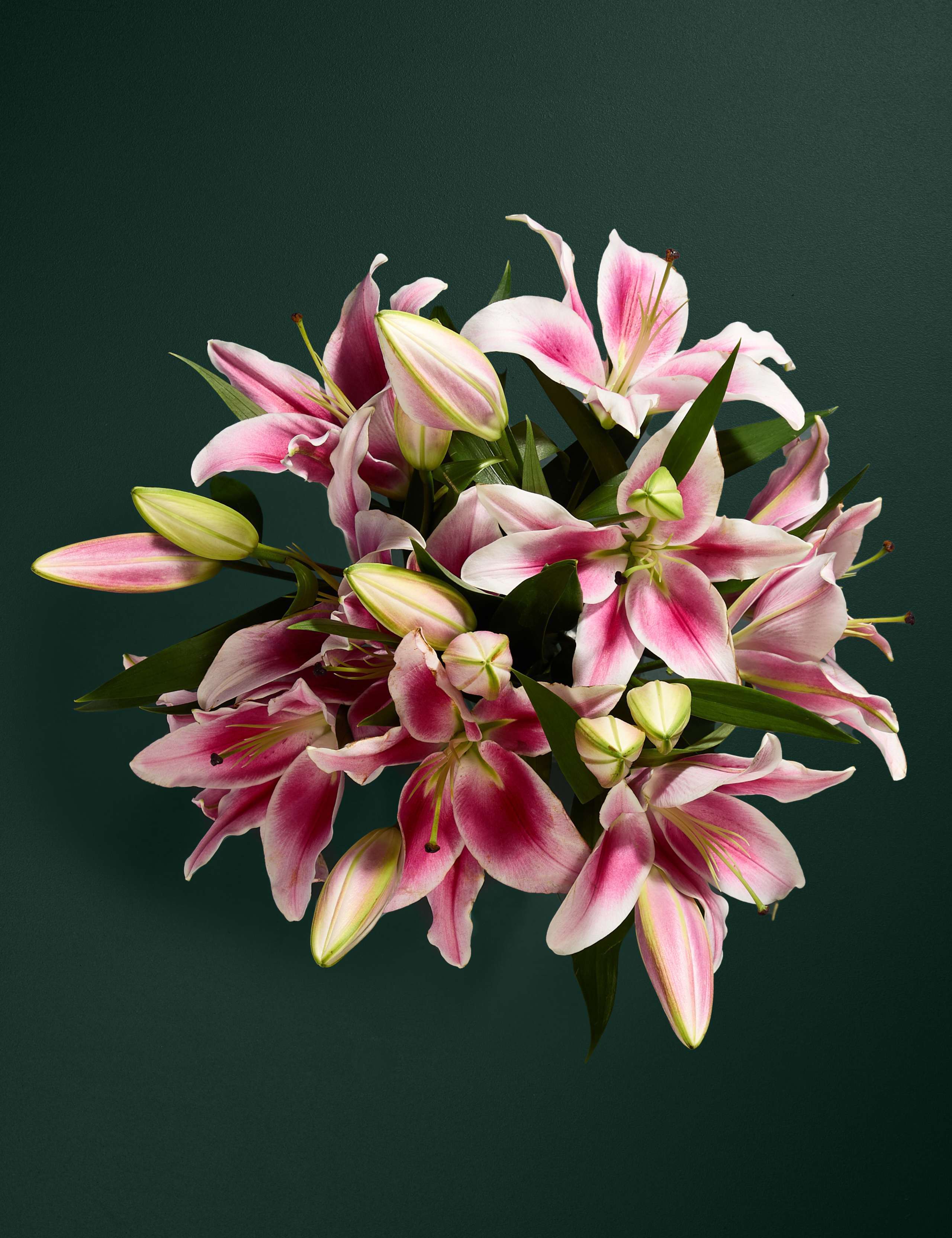 Pink Oriental Lily Abundance Bouquet