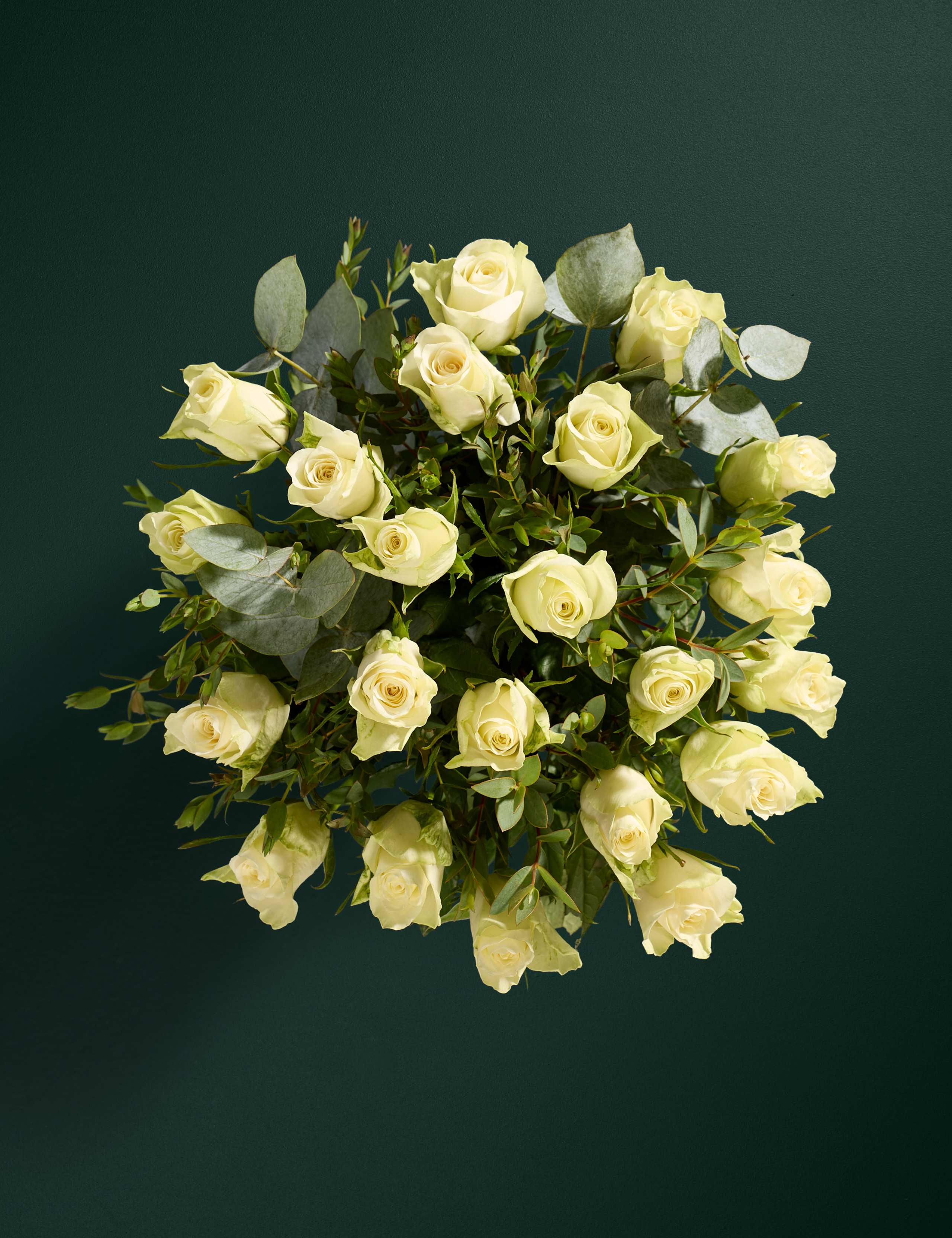 Festive White Rose & Eucalyptus Bouquet with Marc de Champagne Truffles