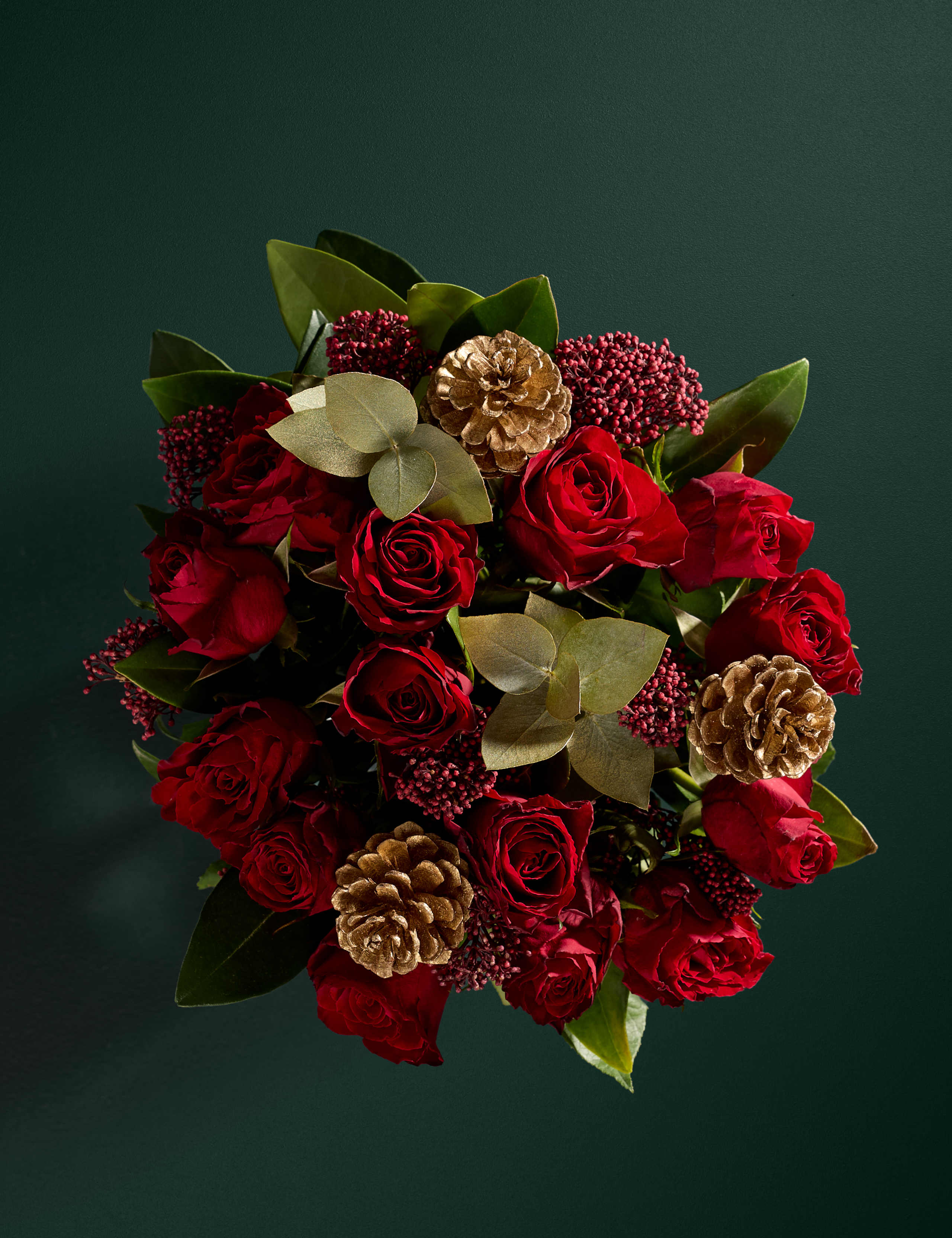 Red Rose & Skimmia in Vase (Delivery from 26th November)