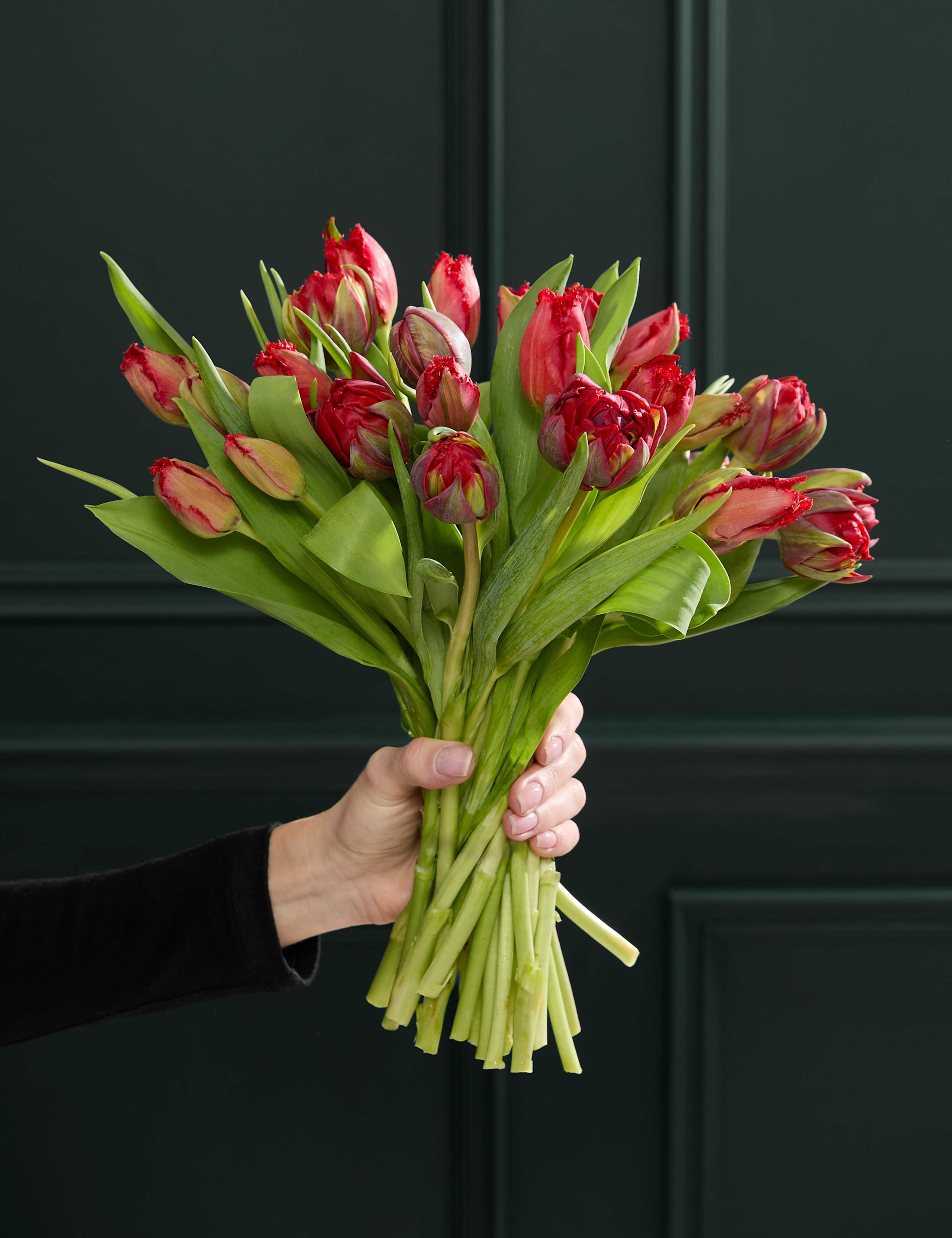 Speciality Tulip Abundance Bouquet
