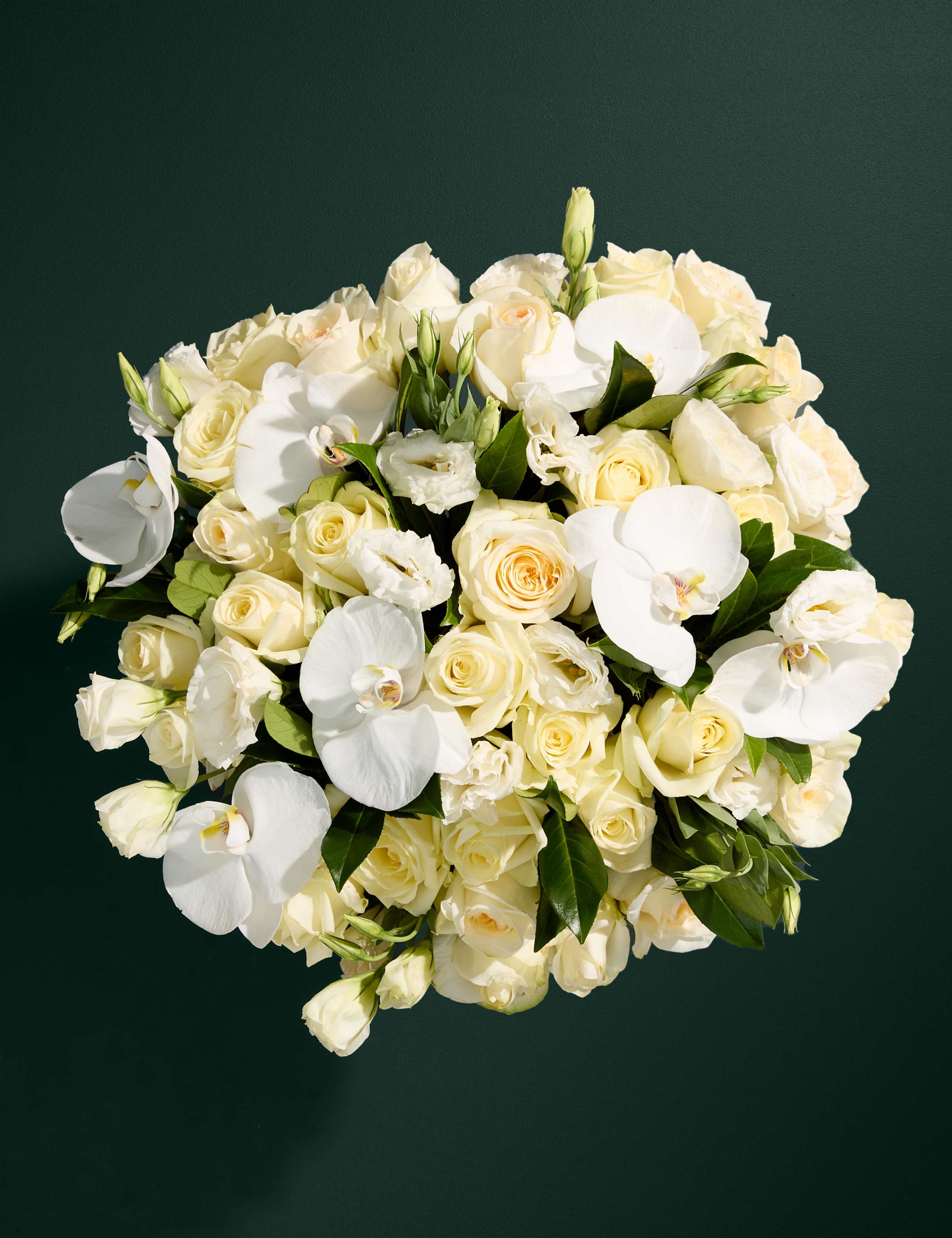 White Rose, Lisianthus & Orchid Bouquet