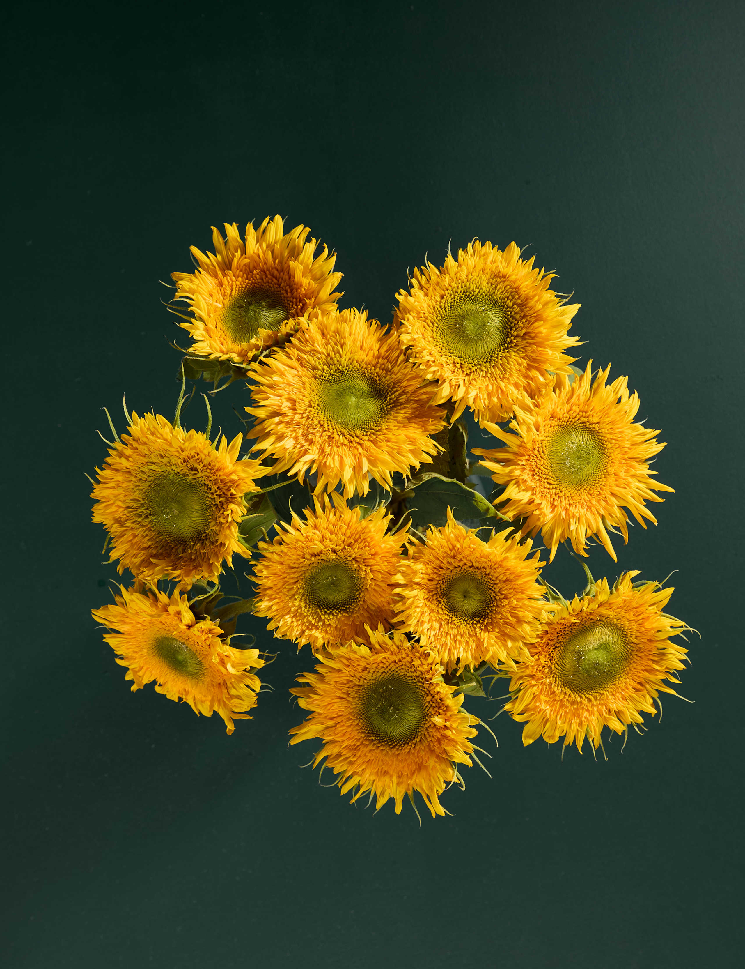 Special & Different Sunflower Bouquet