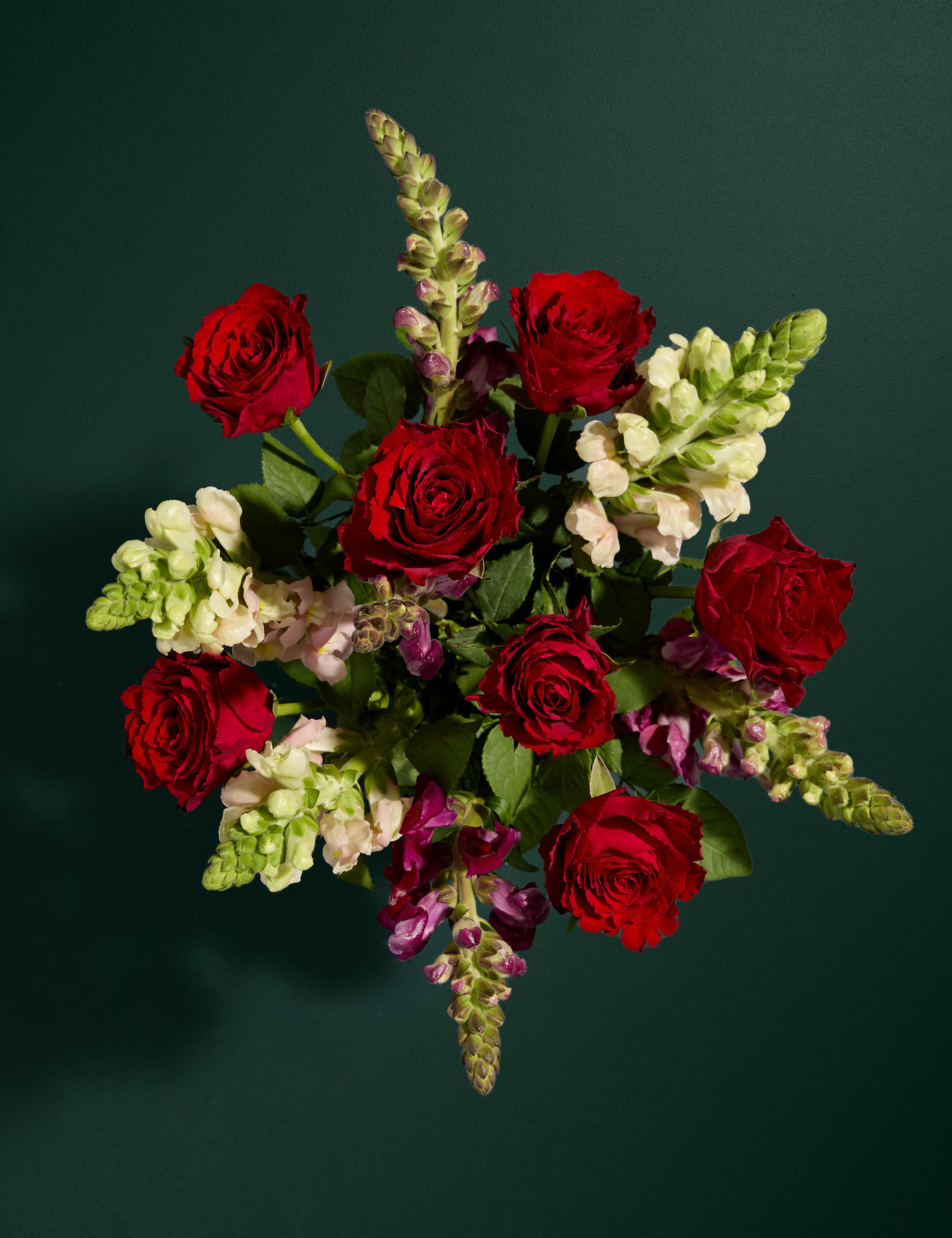 Red Rose and Antirrhinum Bouquet