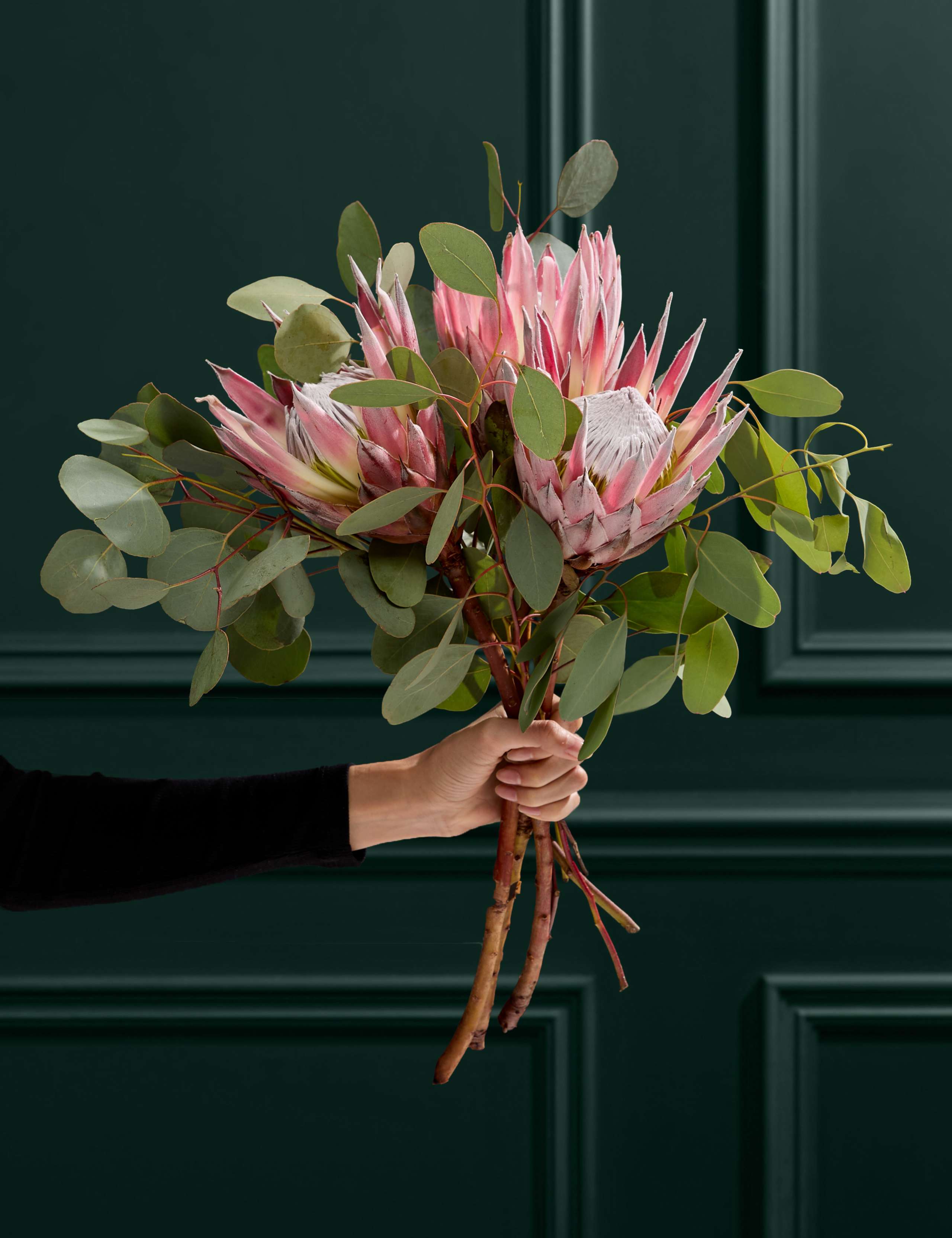 King Protea Bouquet