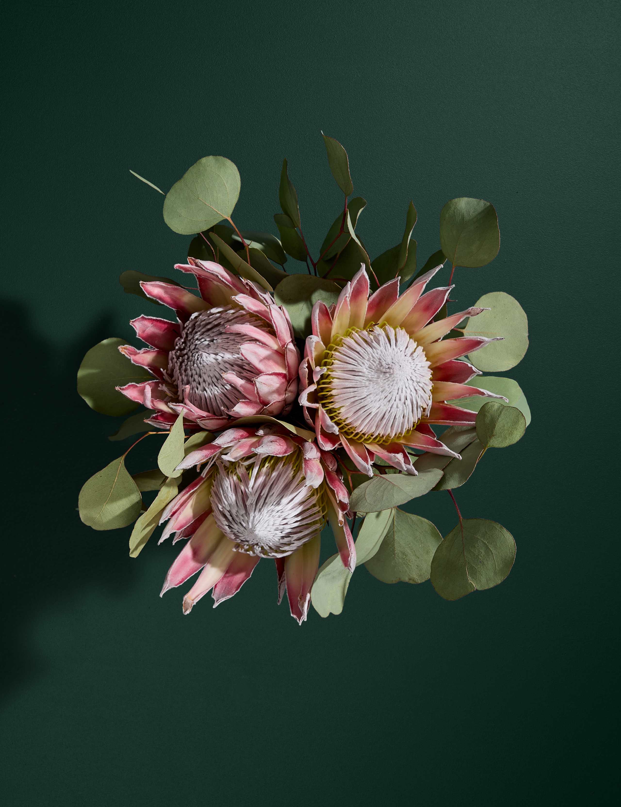 King Protea Bouquet