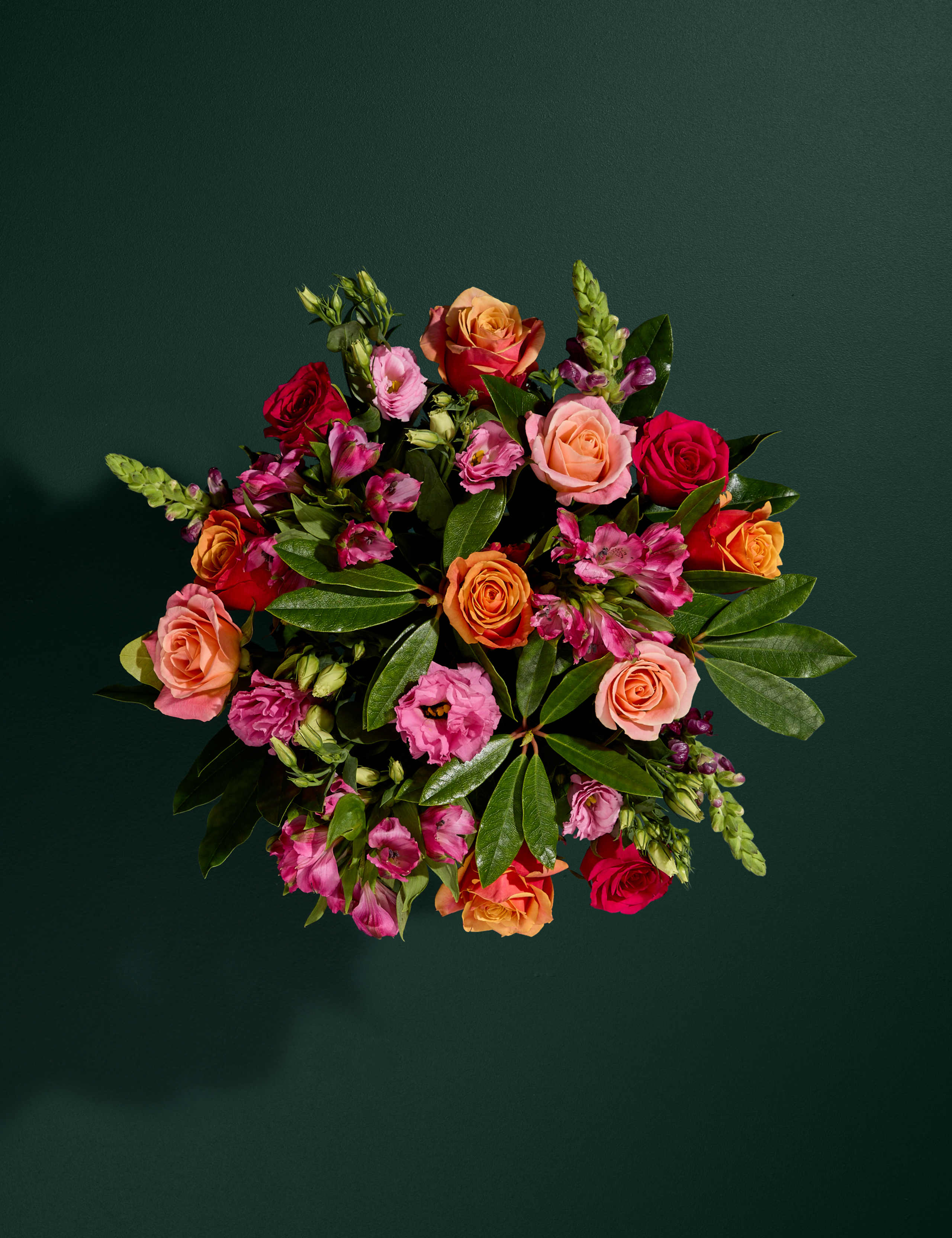 Roses, Lisianthus & Antirrhinum Bouquet with Chocolates & Vintage Champagne (Delivery from 28th September)