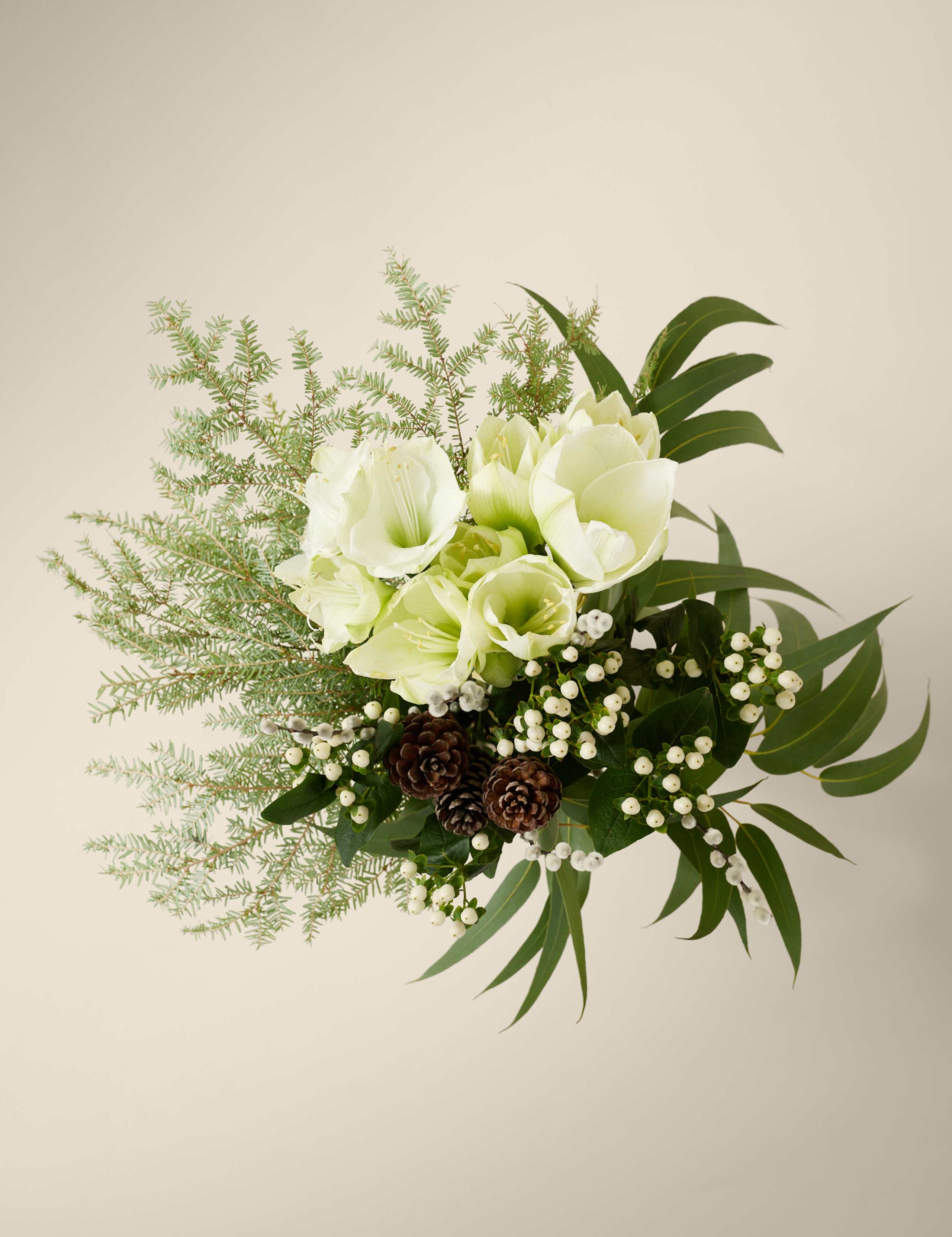 Kelly Hoppen White Amaryllis Christmas Bouquet