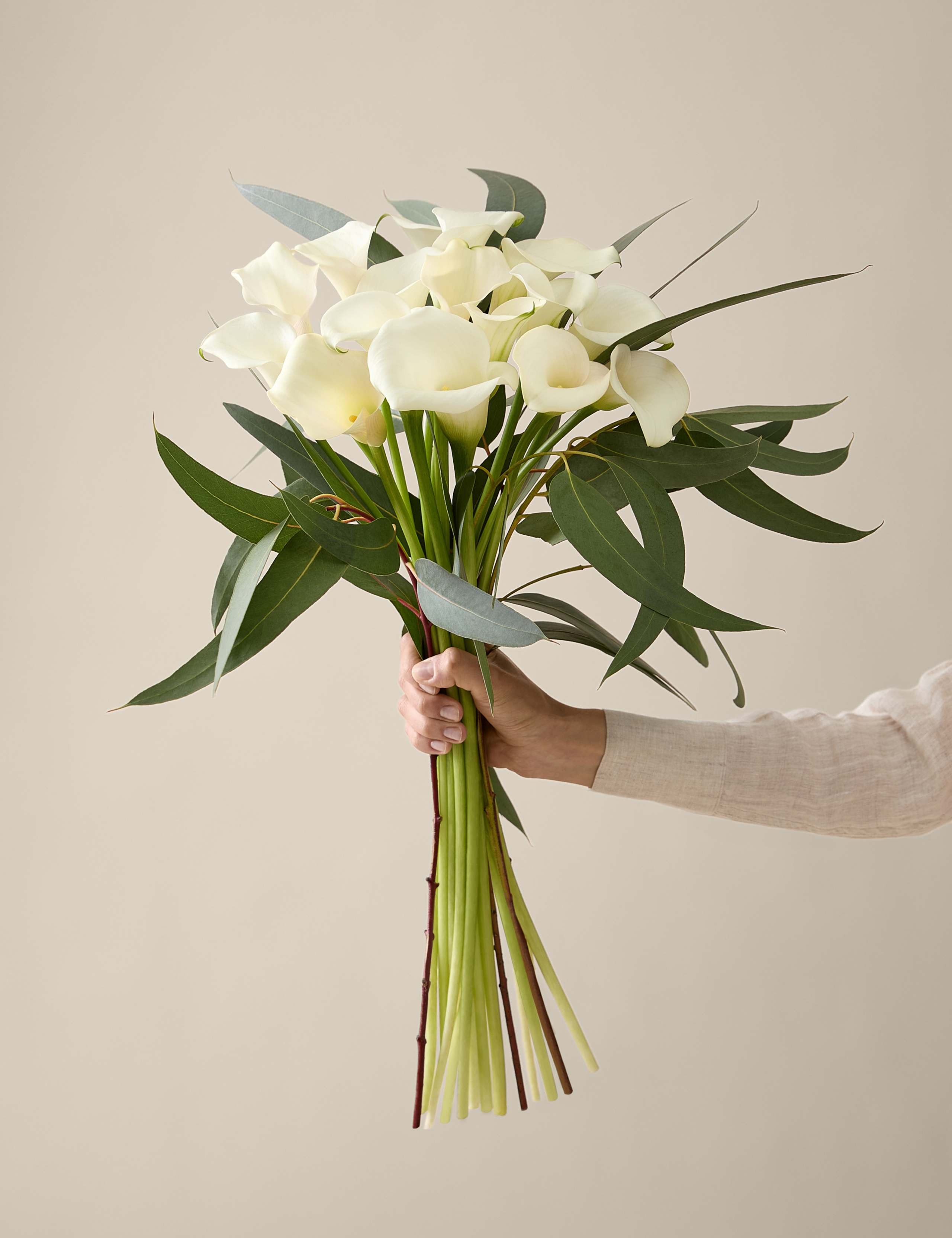 Kelly Hoppen Calla Lily Bouquet