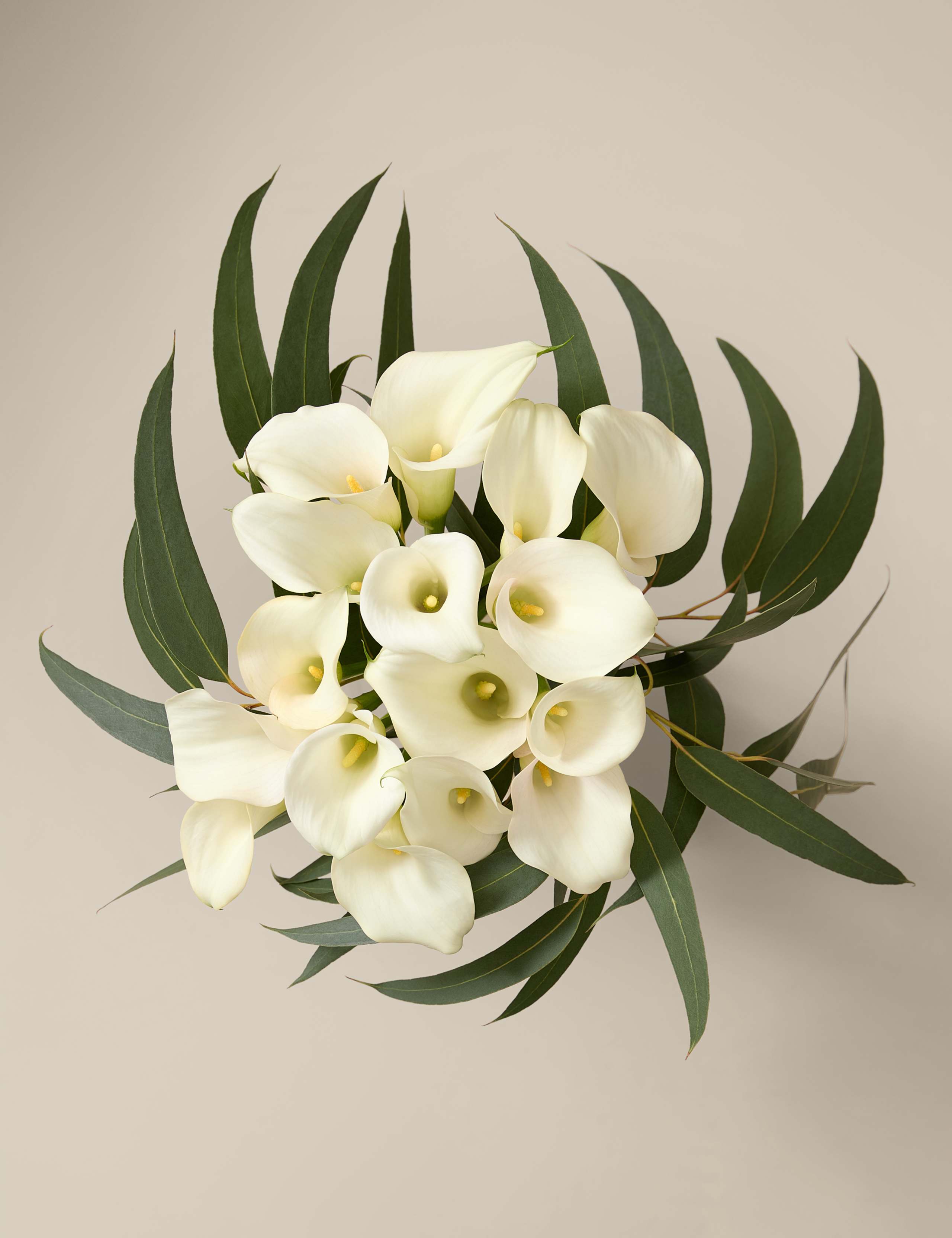 Kelly Hoppen Calla Lily Bouquet