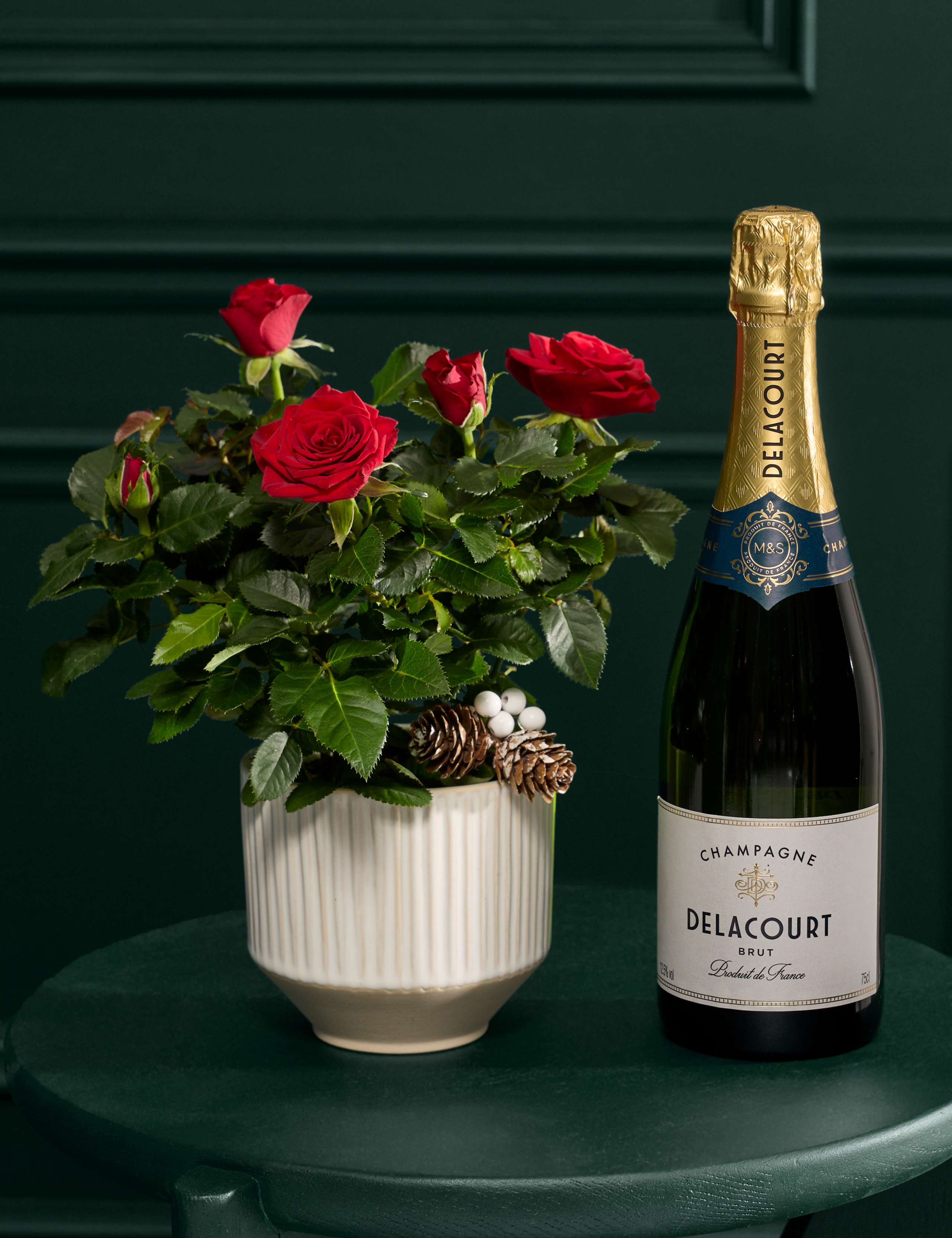 Christmas Red Rose with Champagne