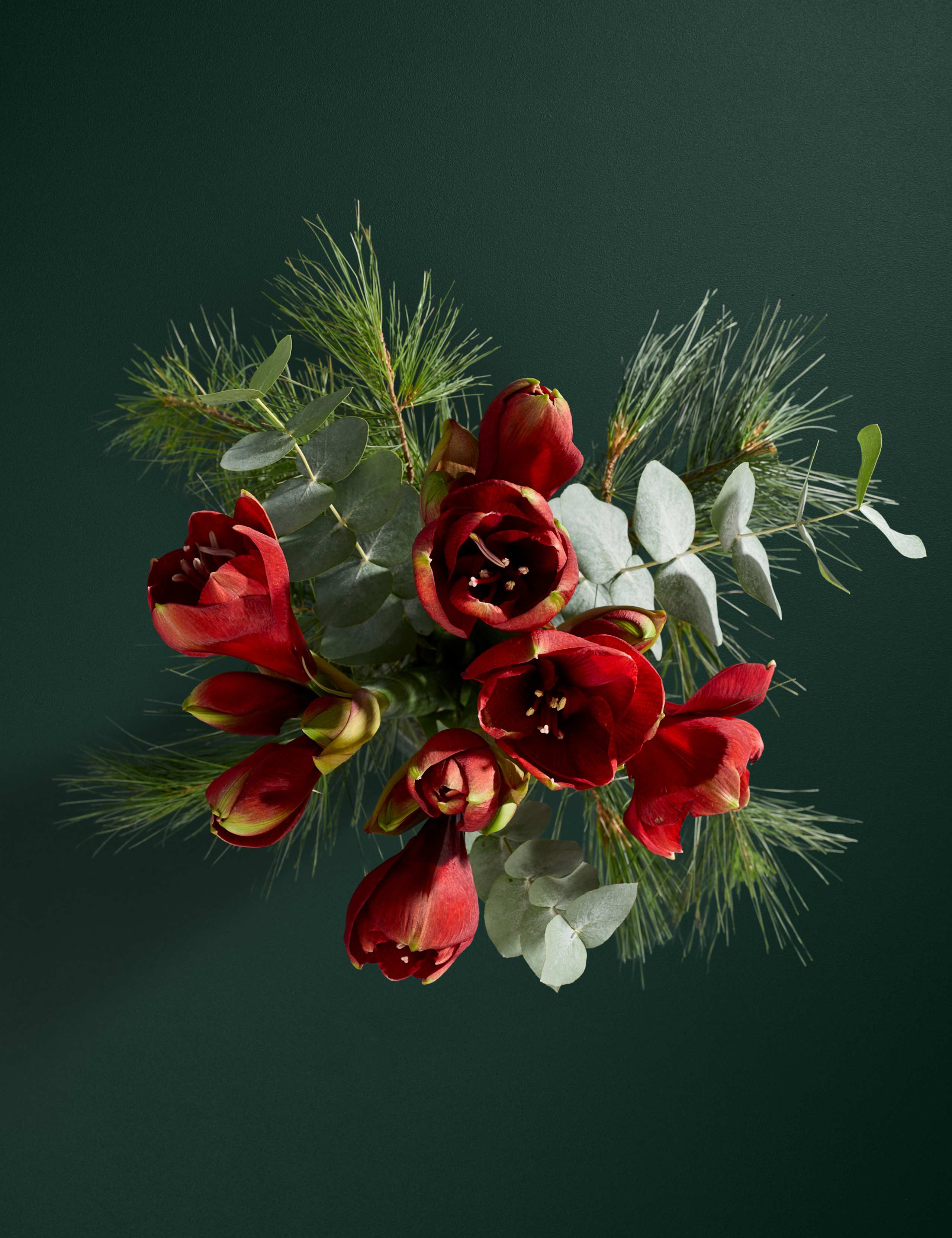 Red Amaryllis Bouquet