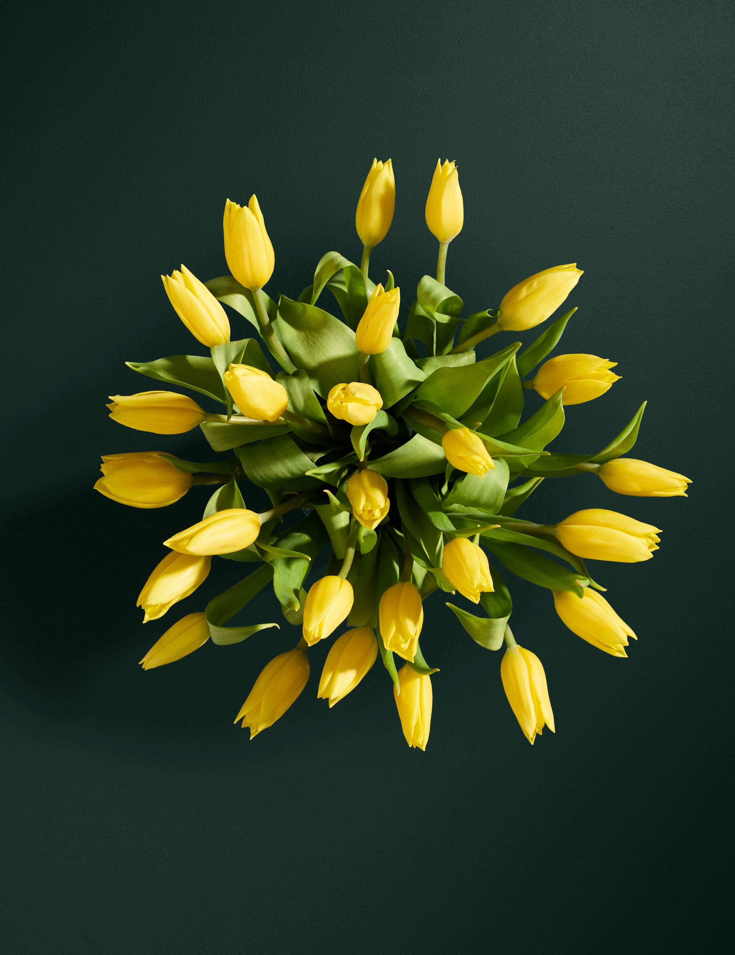 Yellow Tulip Abundance Bouquet
