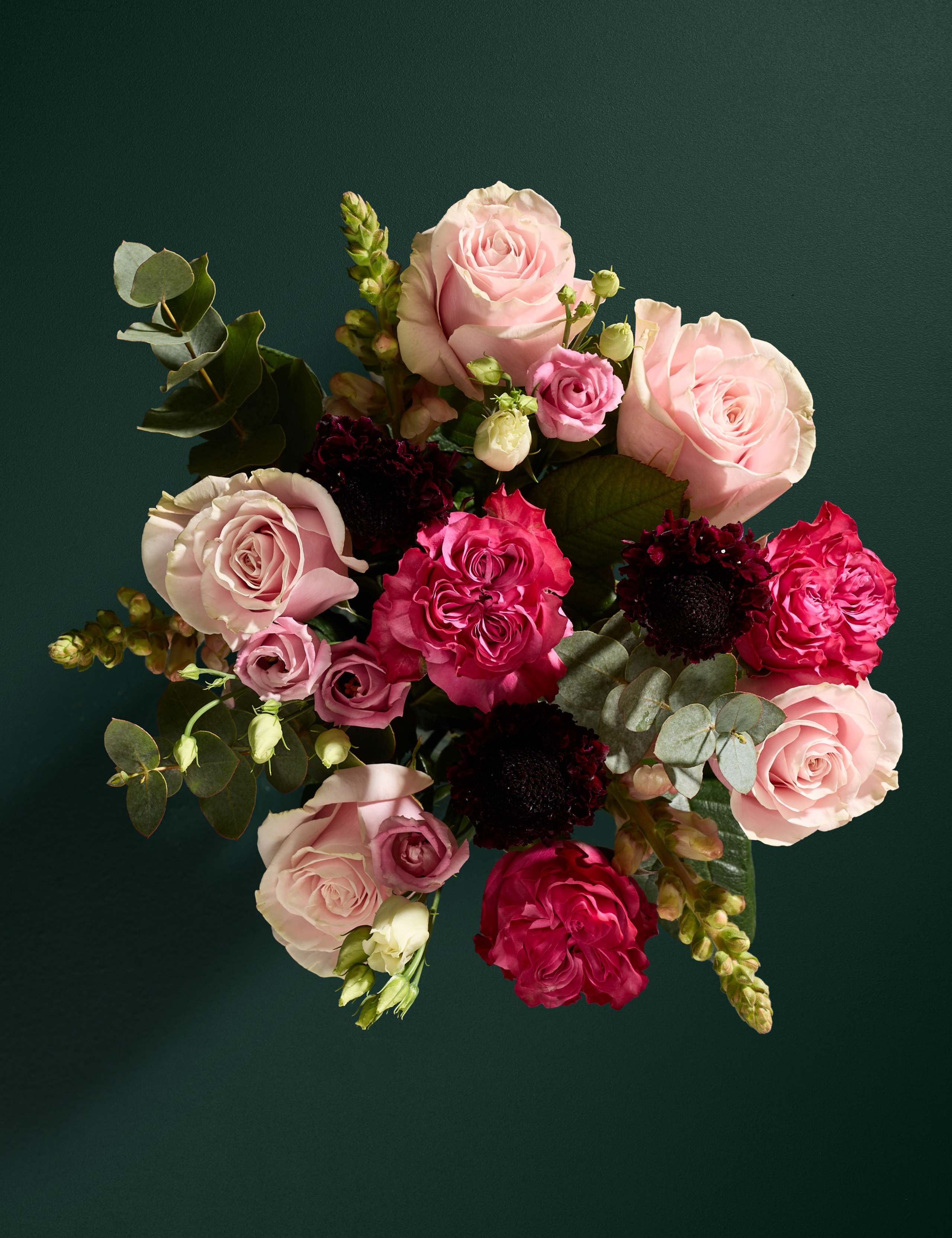 Pink Rose & Scabiosa Bouquet