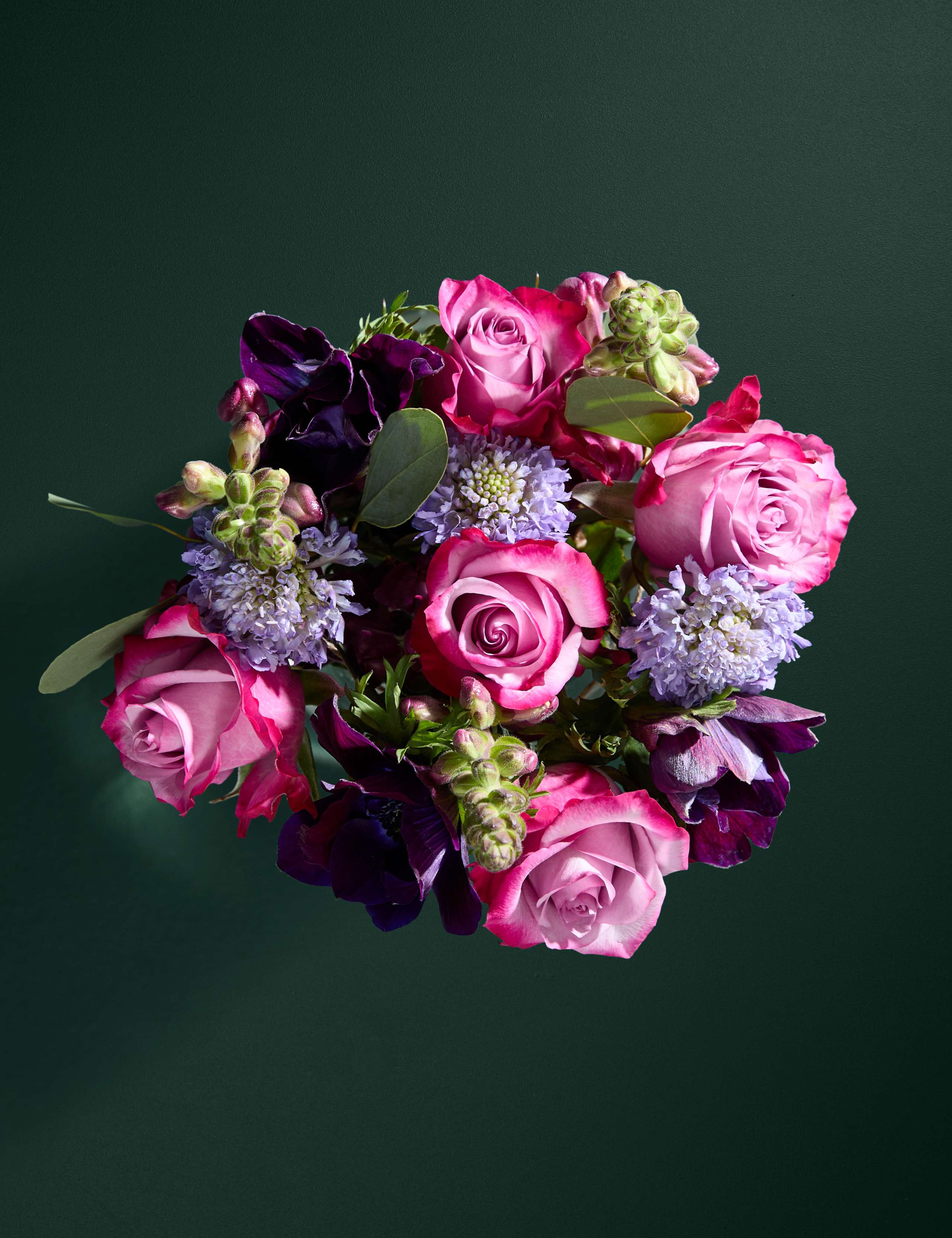 Mother's Day Roses & Antirrhinum with Vase