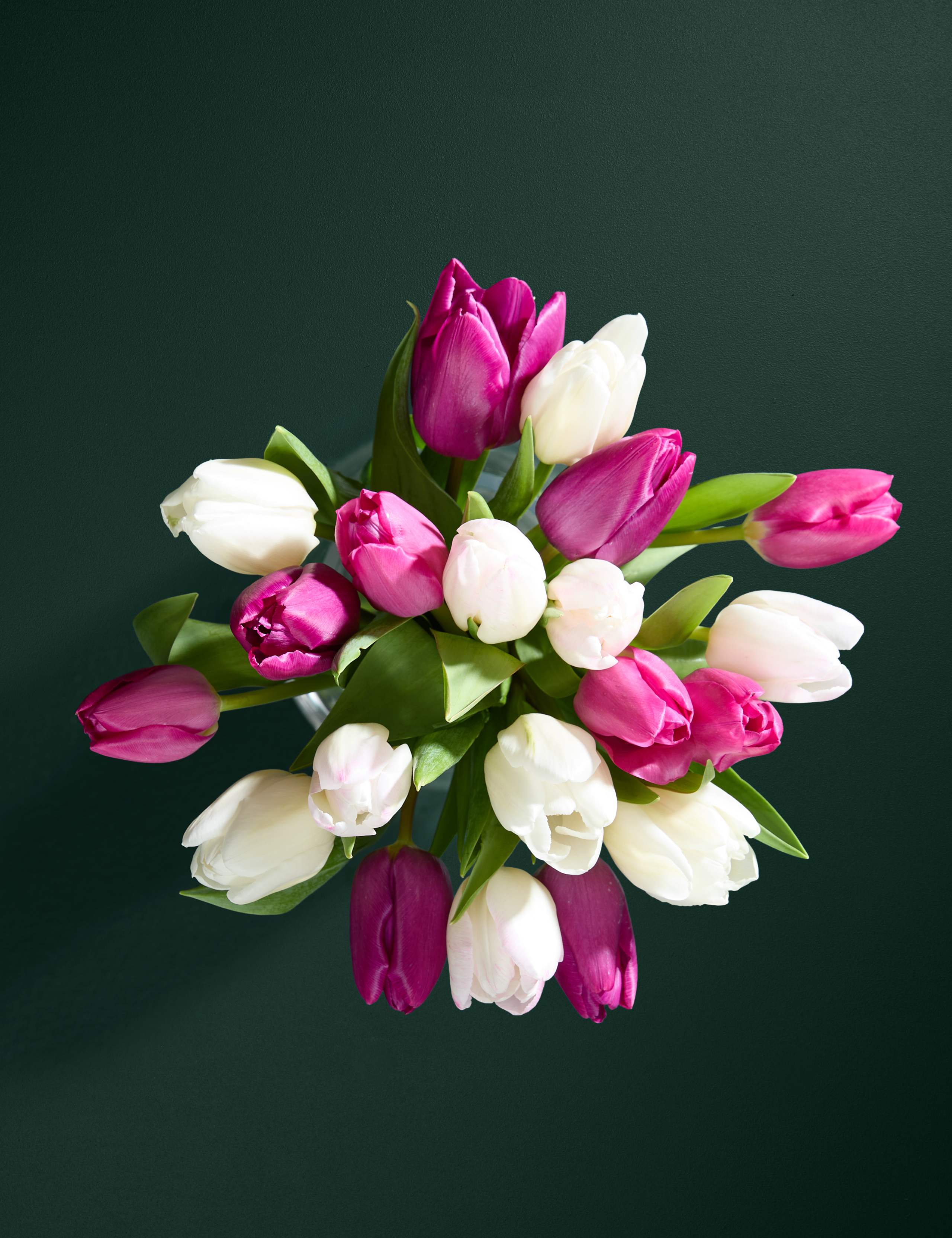 Mother's Day Pink Tulip Bouquet