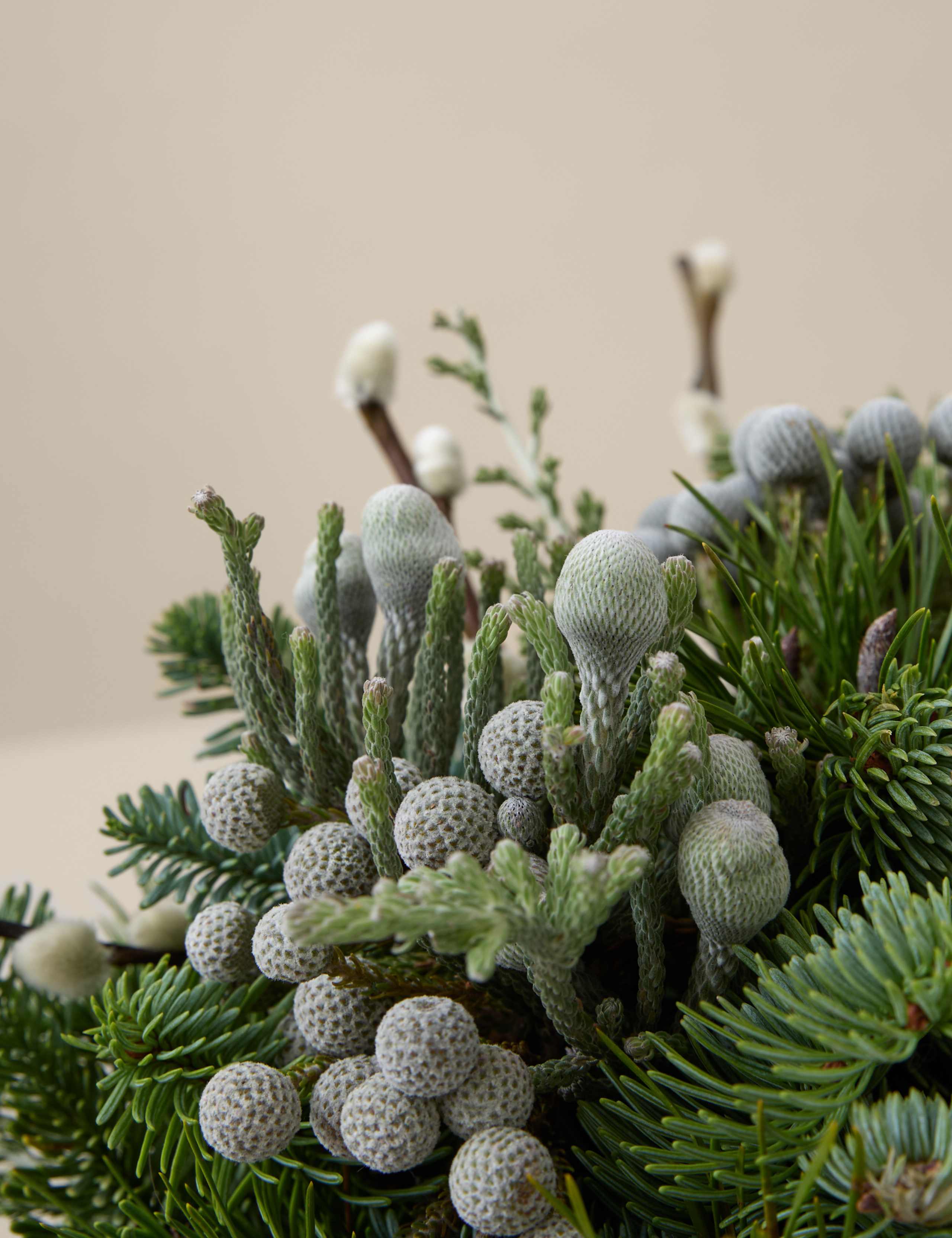 Festive Center Piece
