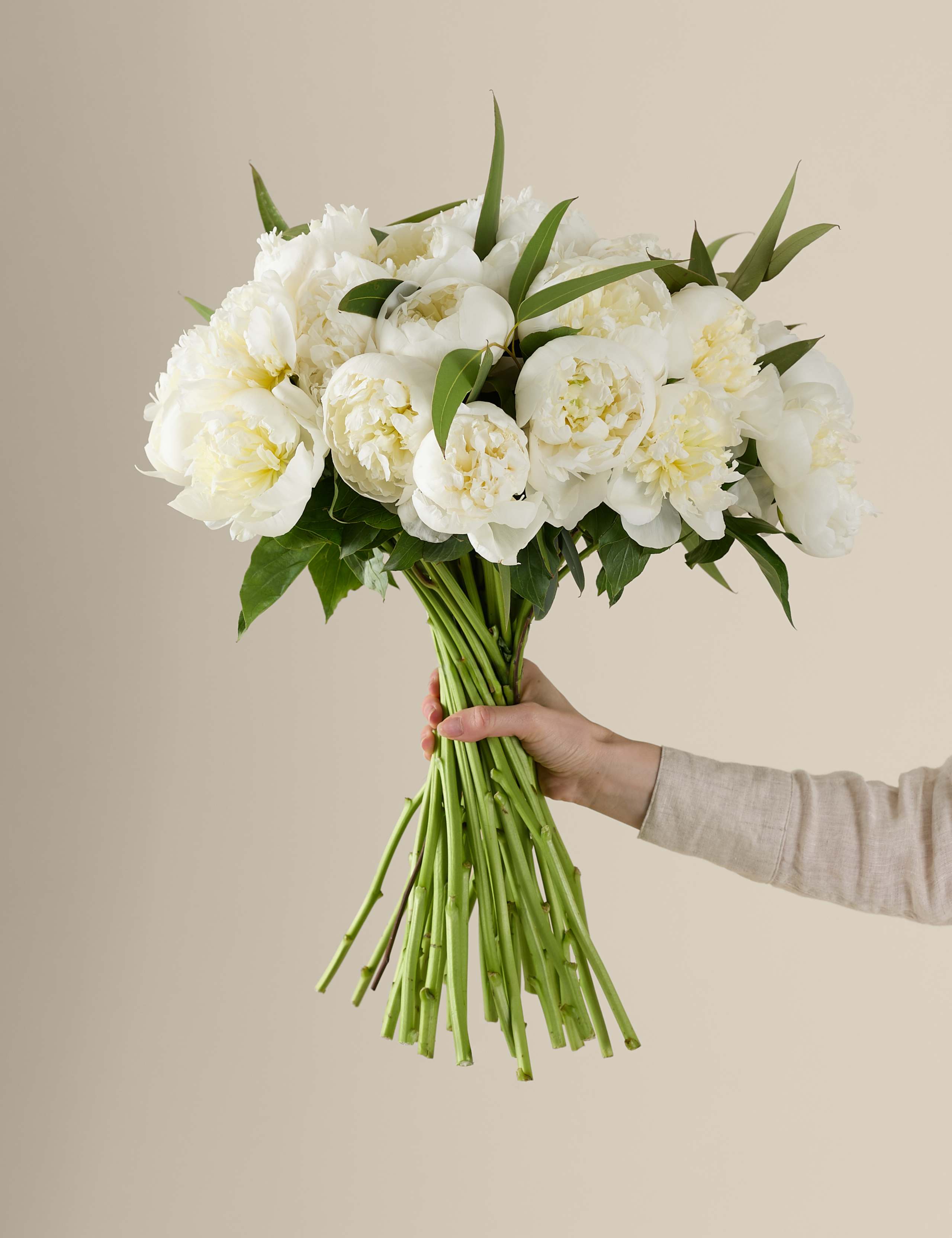Kelly Hoppen Bountiful Peony Bouquet