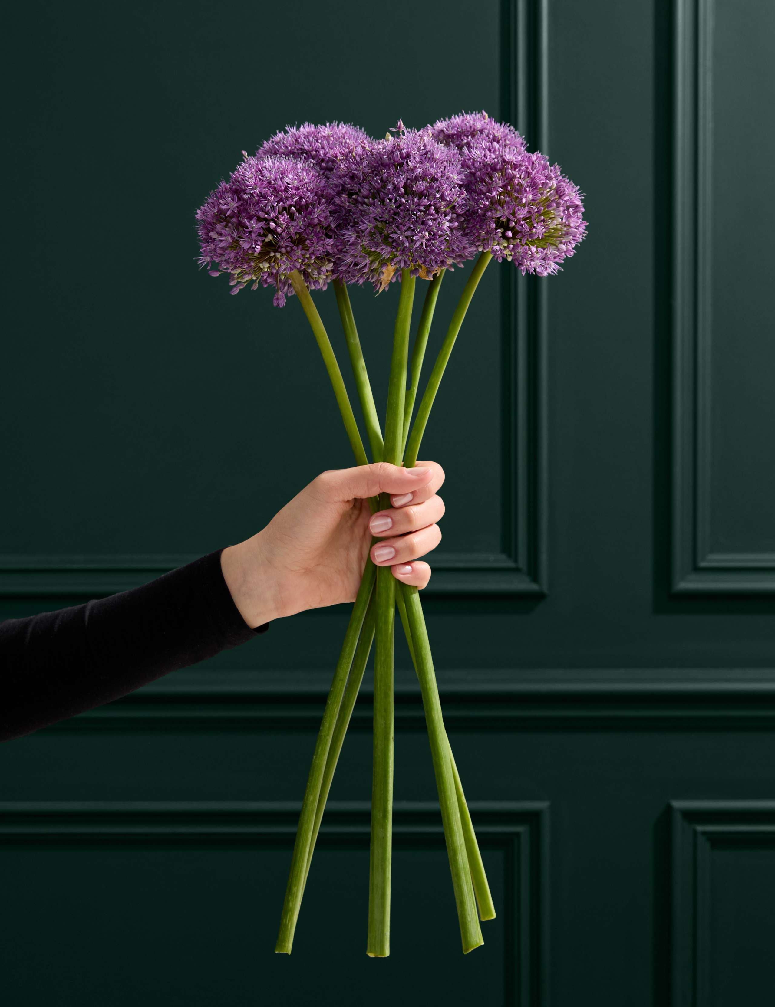 King Allium Bouquet